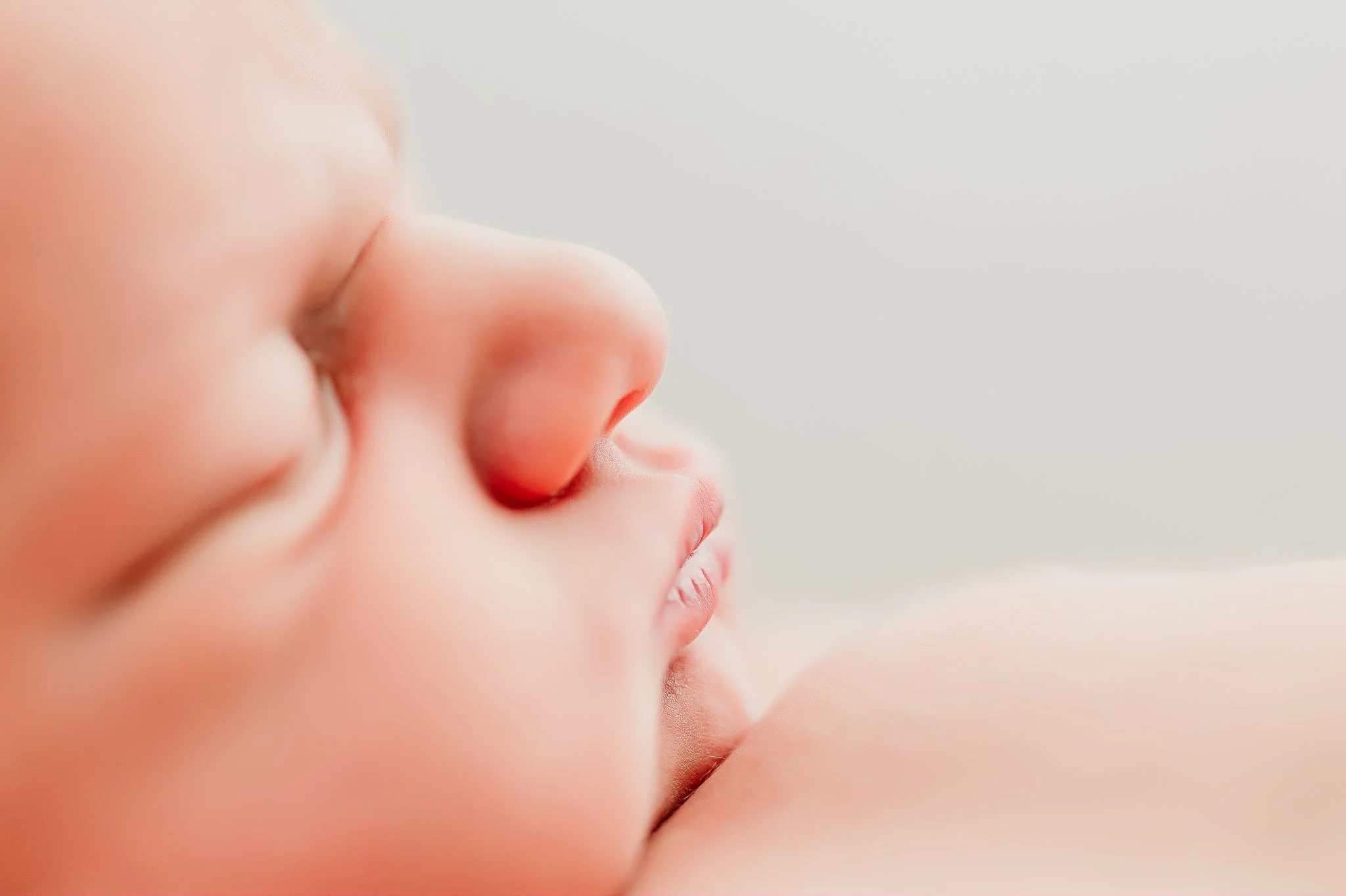 GloriaPosadaPhotography_ az newborn family photographer--17.jpg