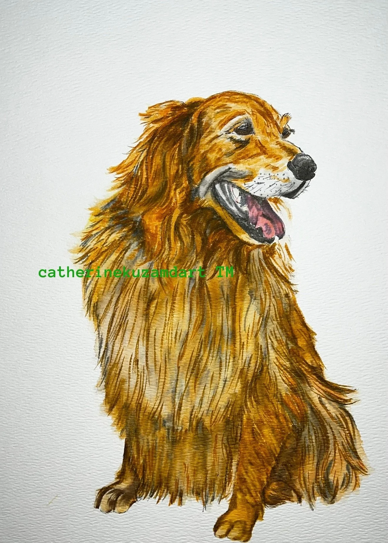 catherinekuzamdart_goldenretriever.JPG