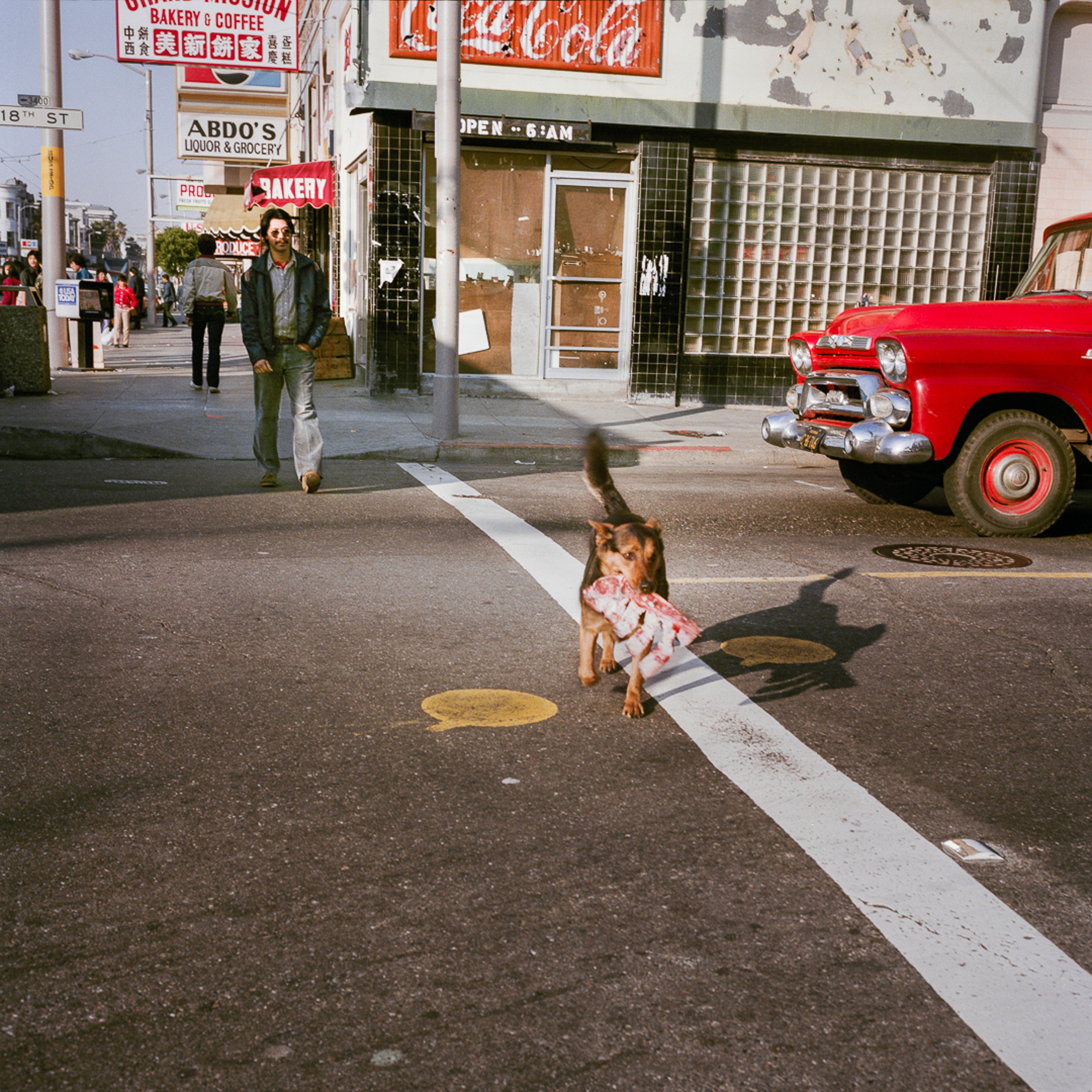   Dog with Ribs, Mission at 18th St, 1984  