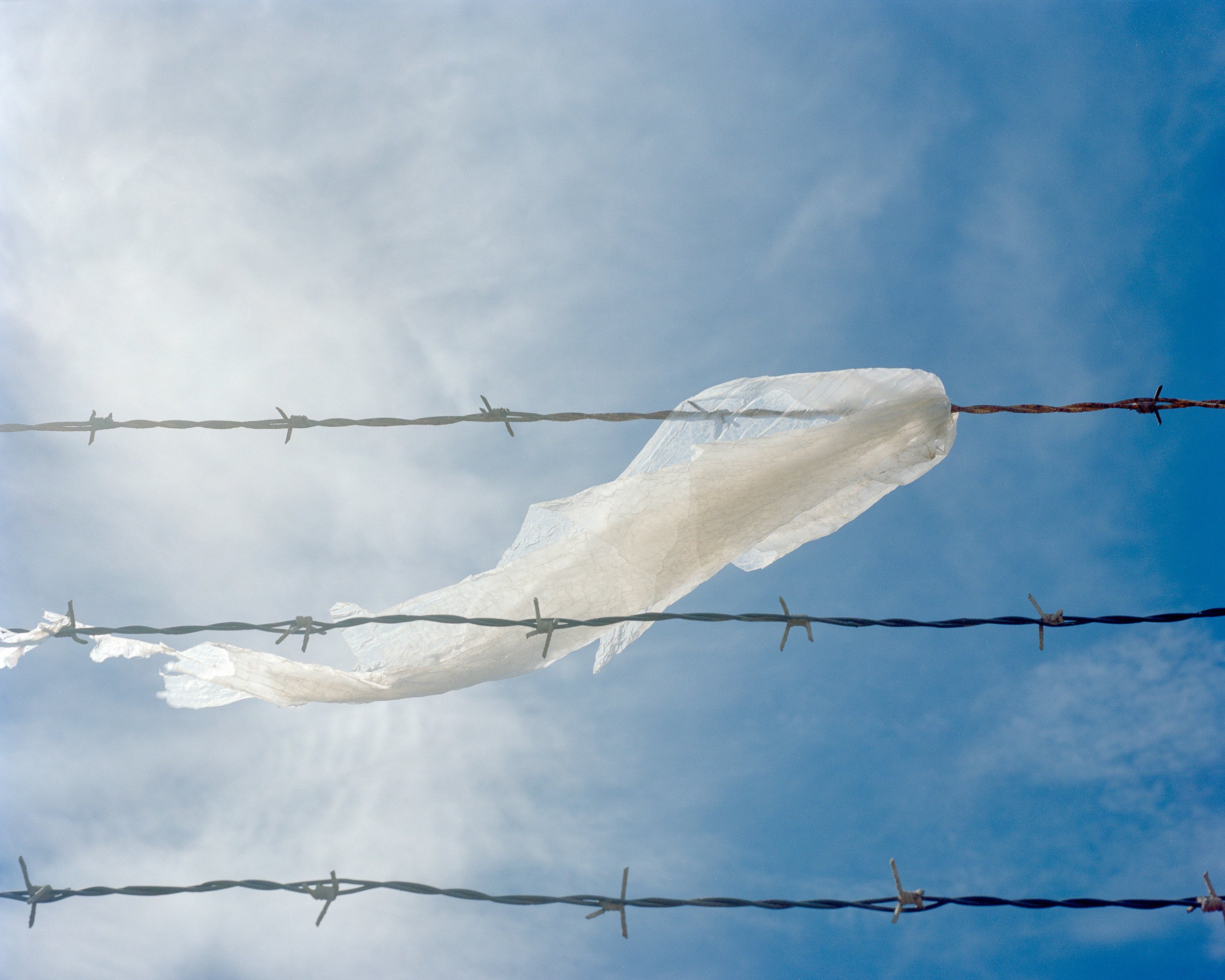   Plastic on Barbed Wire, 2022  