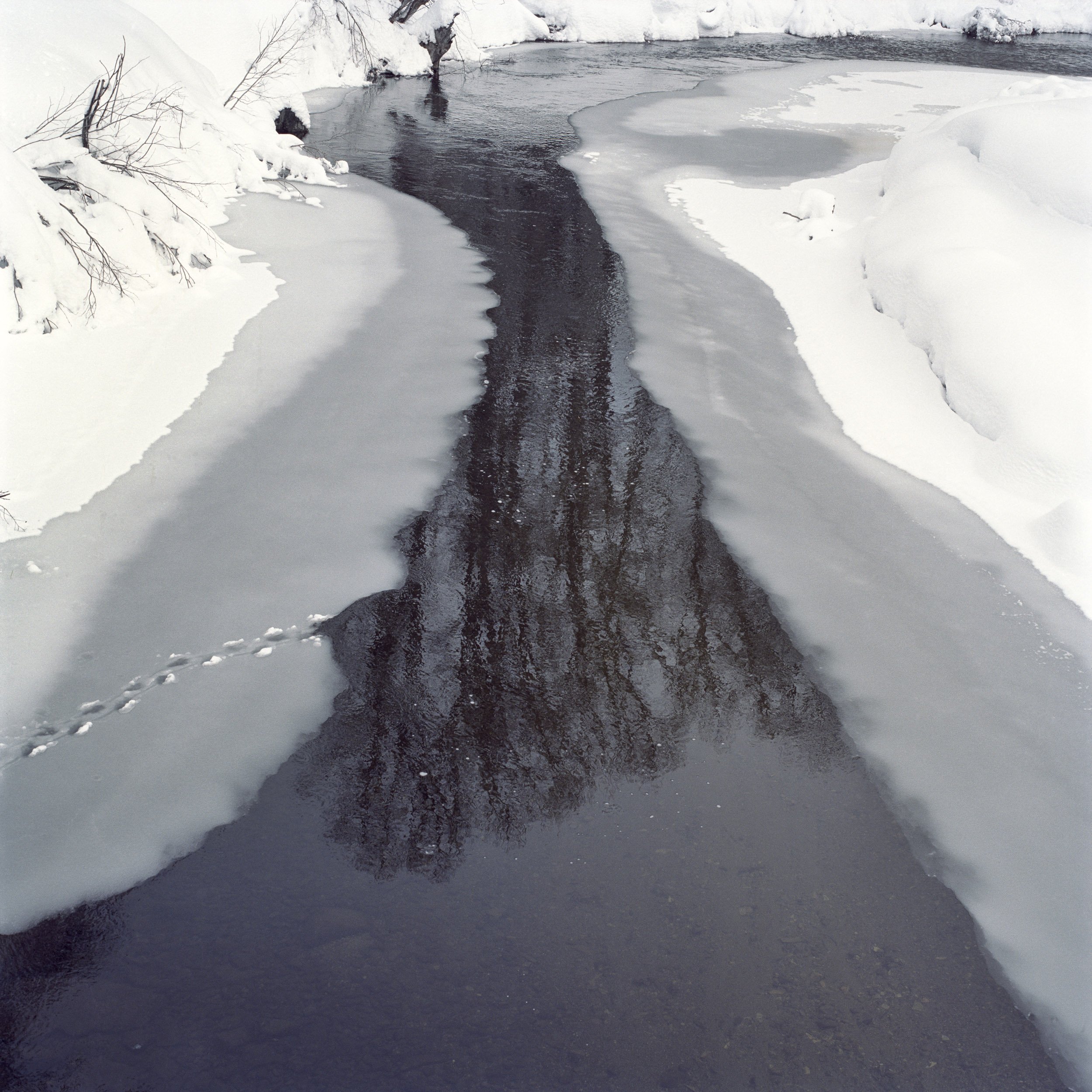   Frozen Stream, Soda Springs  