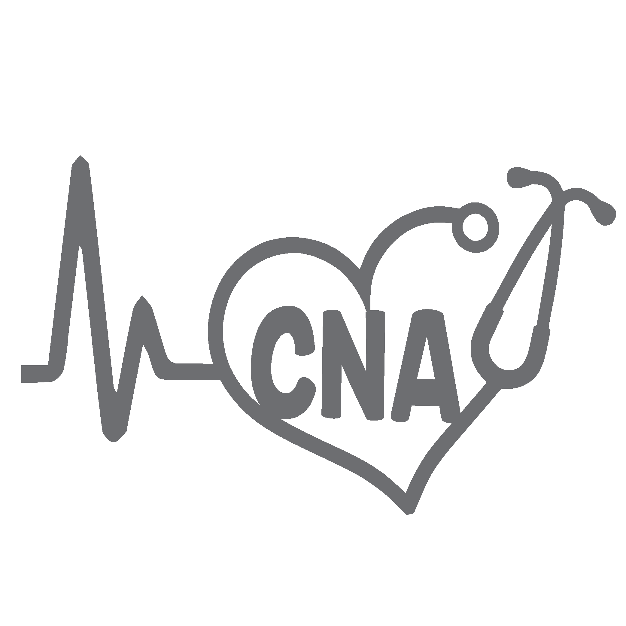 CNA Training Program + Insulin