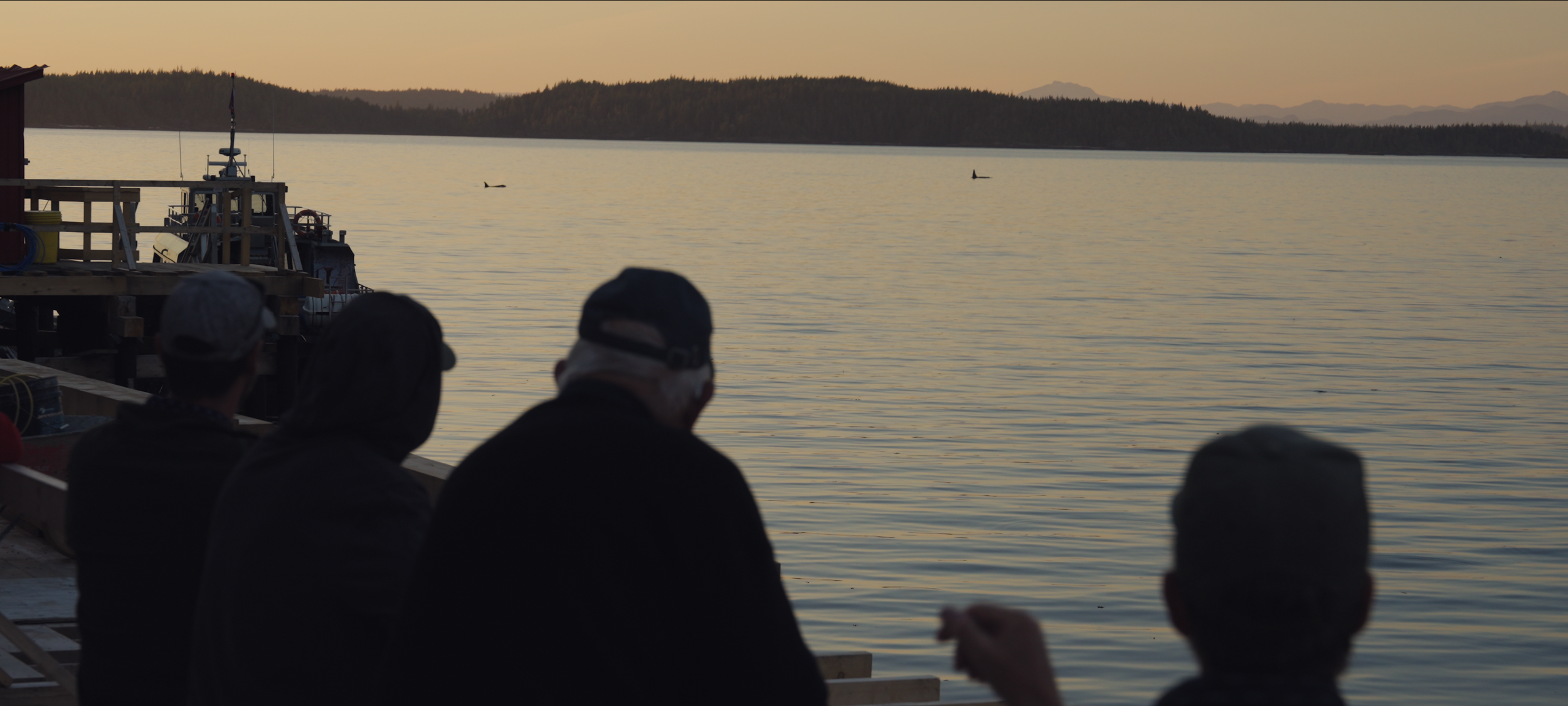 Screenshot 2025-08-24 at 11.39.57 AM.PNG