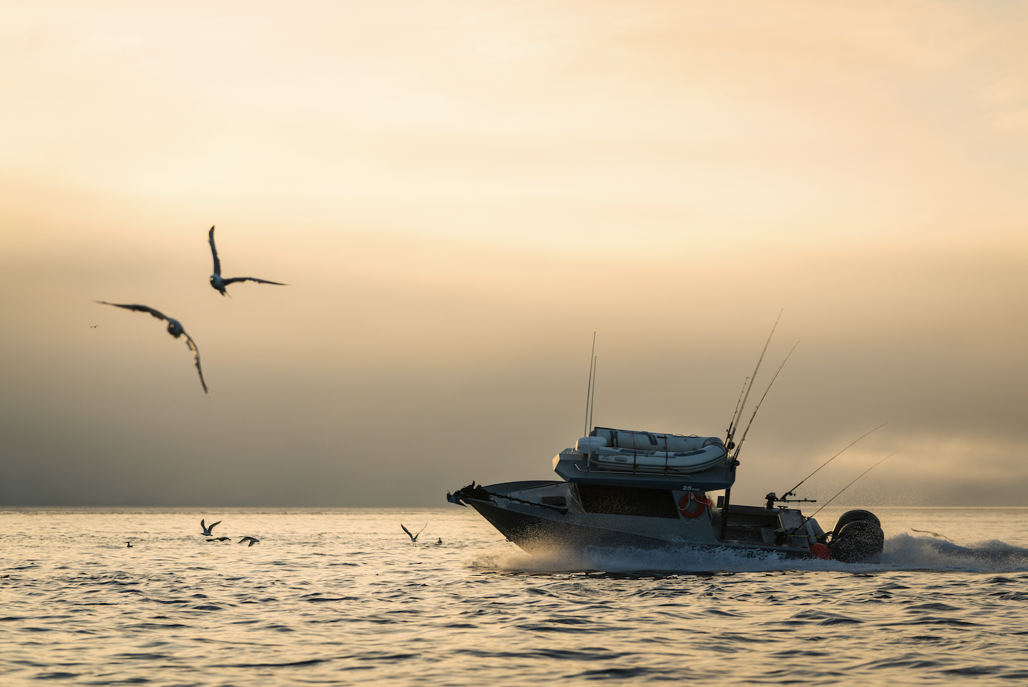 Kingfisher Boats XAC Model