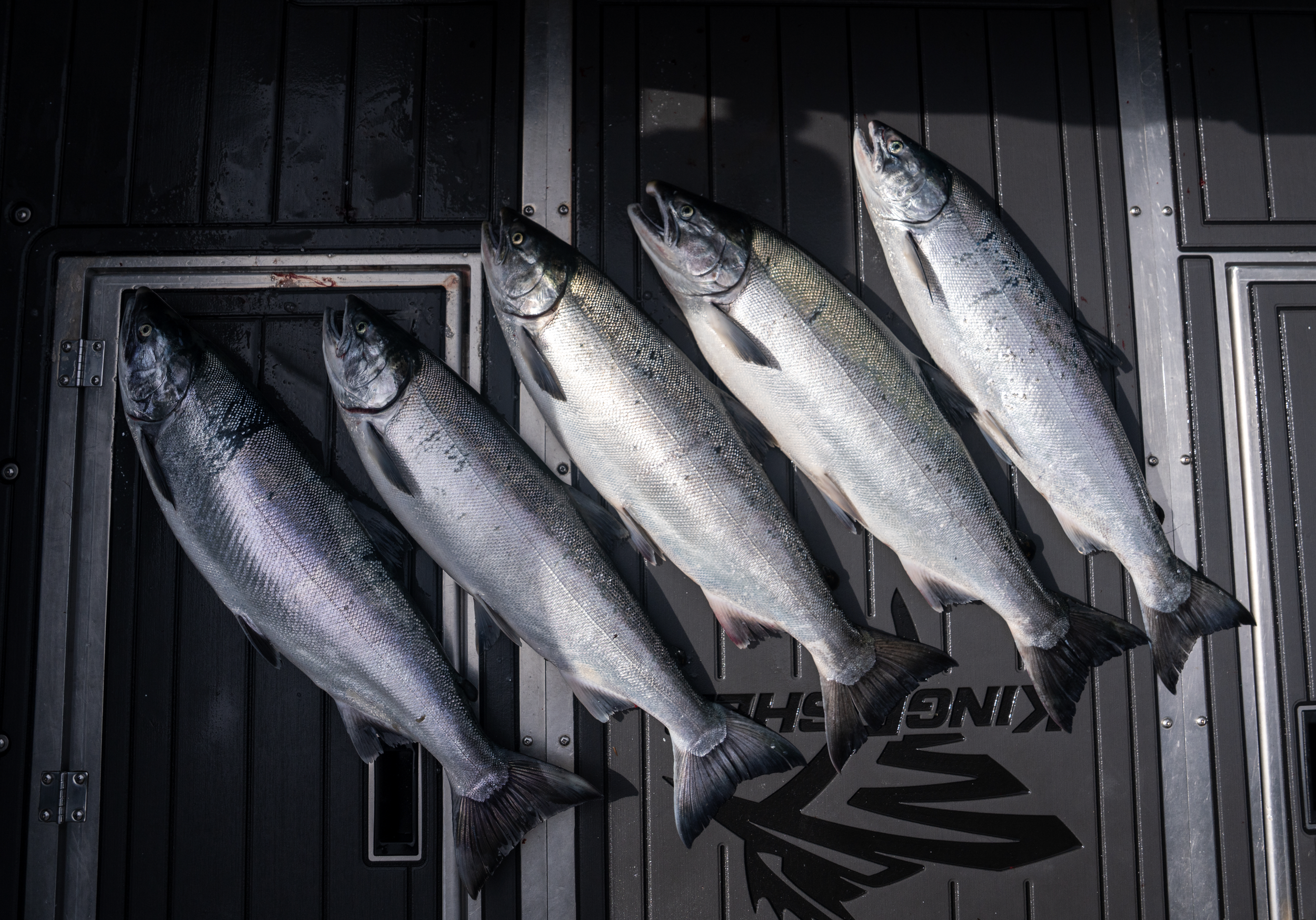 Screenshot 2026-01-13 at 11.33.01 AM.png