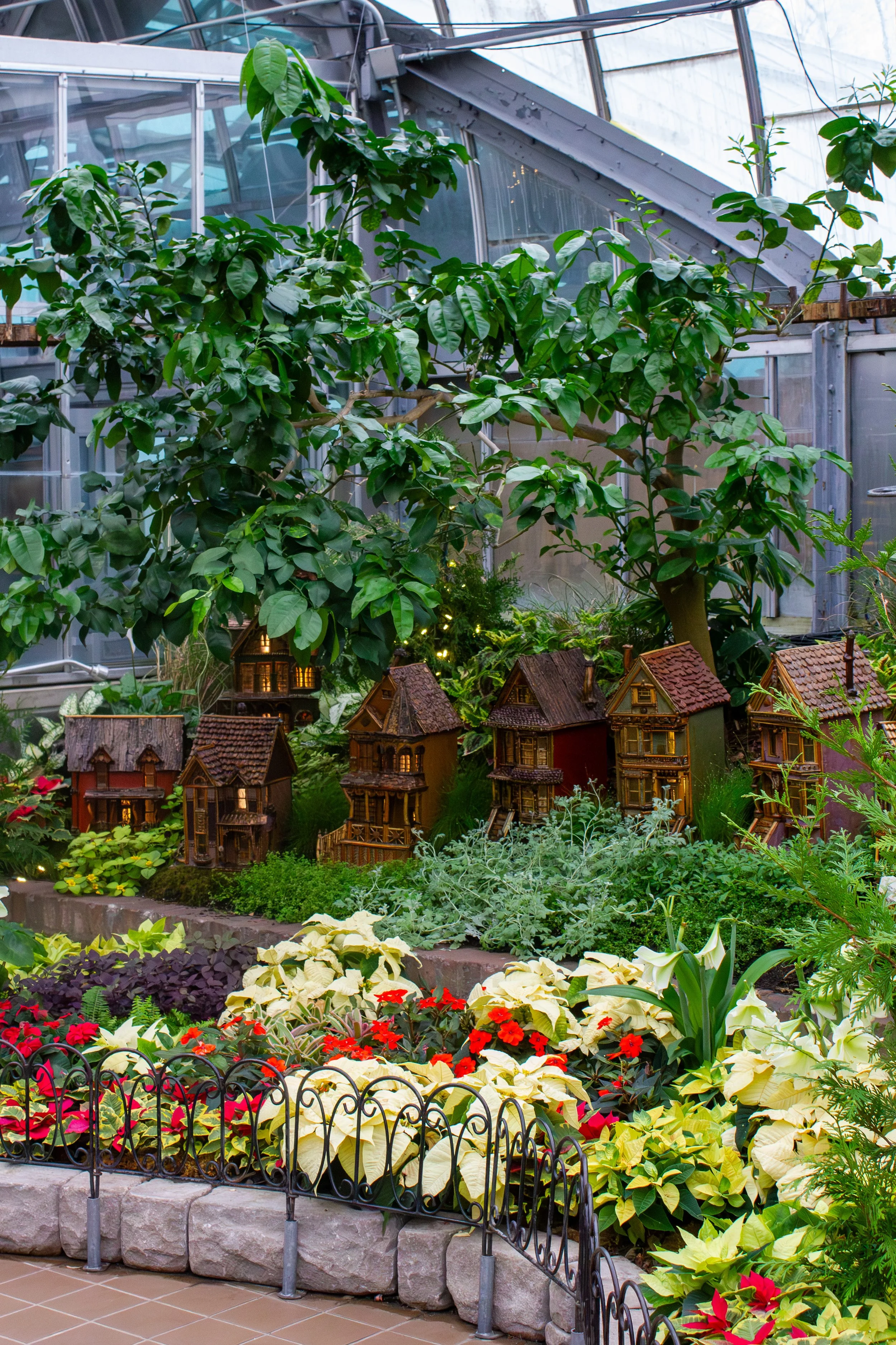 row houses.jpg