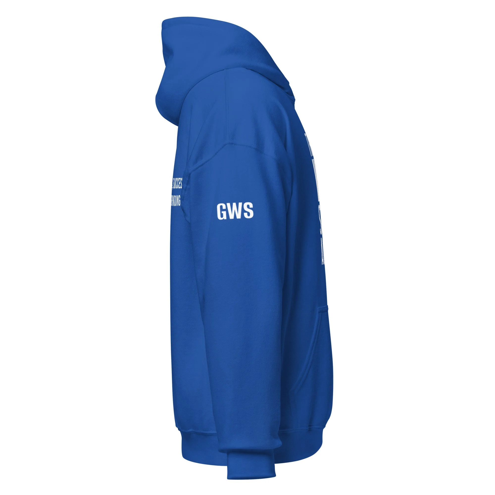 unisex-heavy-blend-hoodie-royal-right-656ac8a7d17e4.jpg