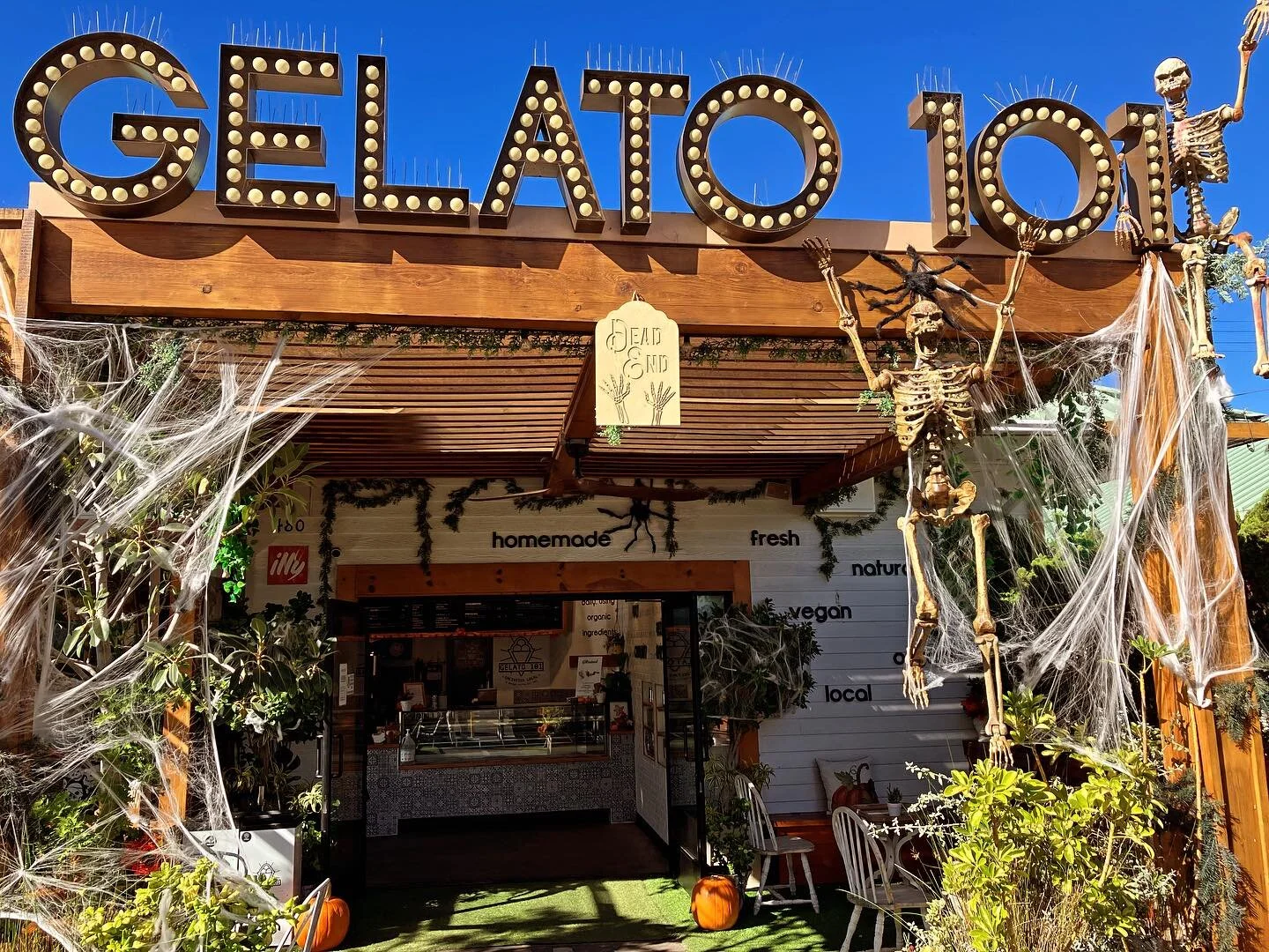 Handcrafted, Artisanal Gelato in Encinitas GELATO 101