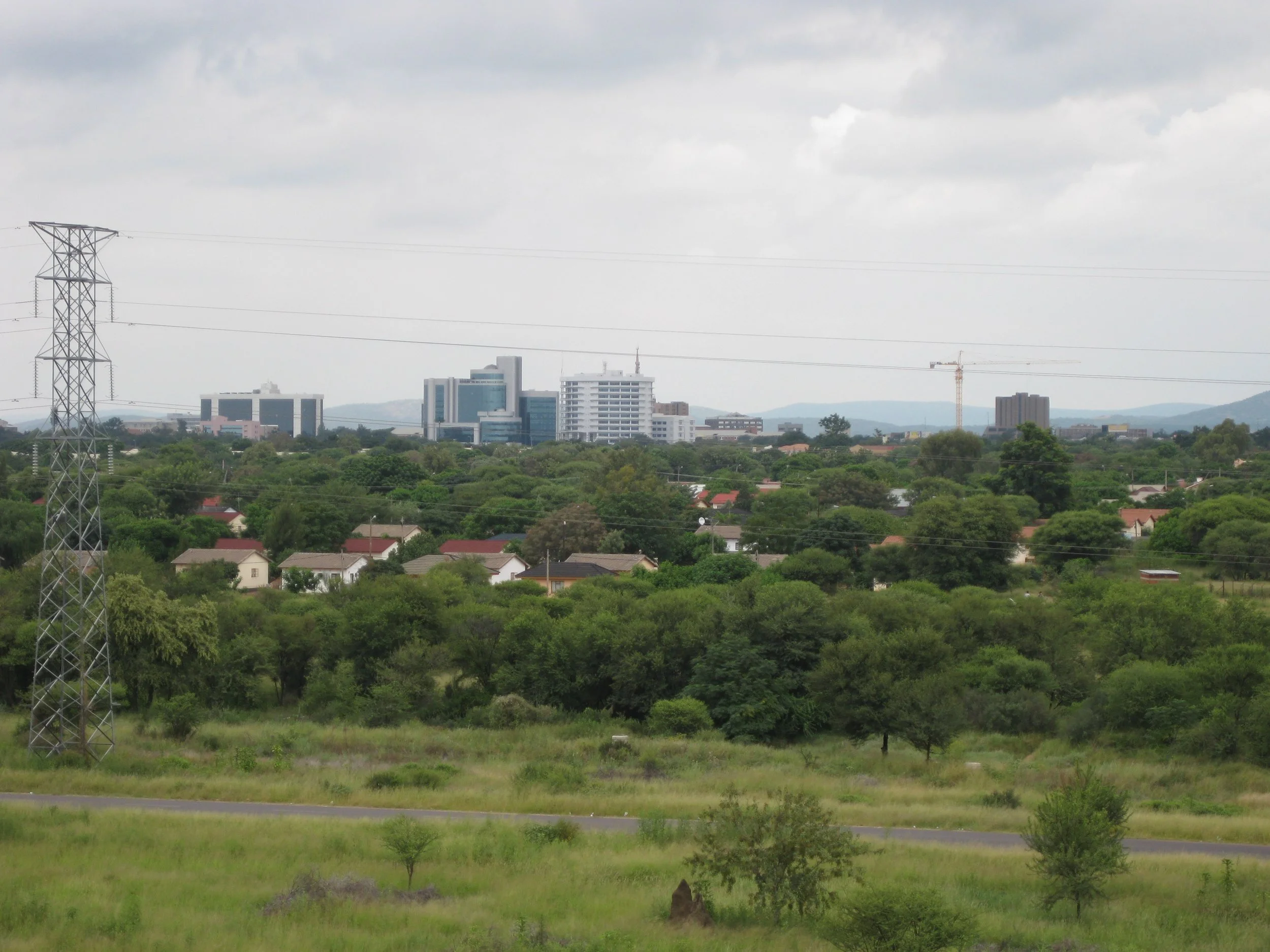 View of a city skyline with tall buildings, a construction crane, and a large electricity pylon against a cloudy sky, with lush green trees and residential houses in the foreground.
