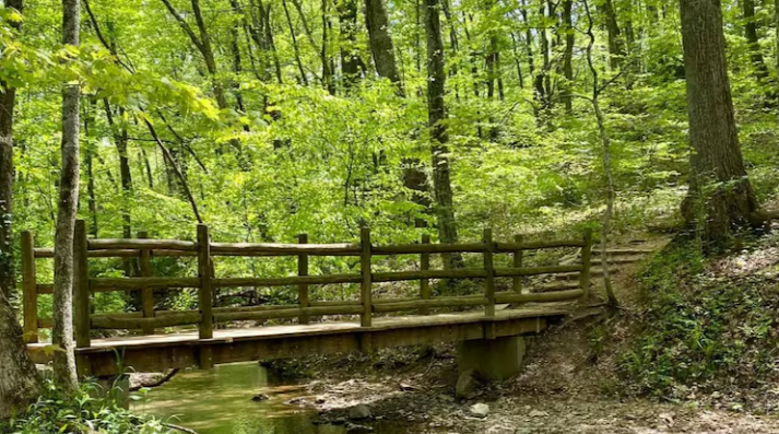 Hikes for Heroes