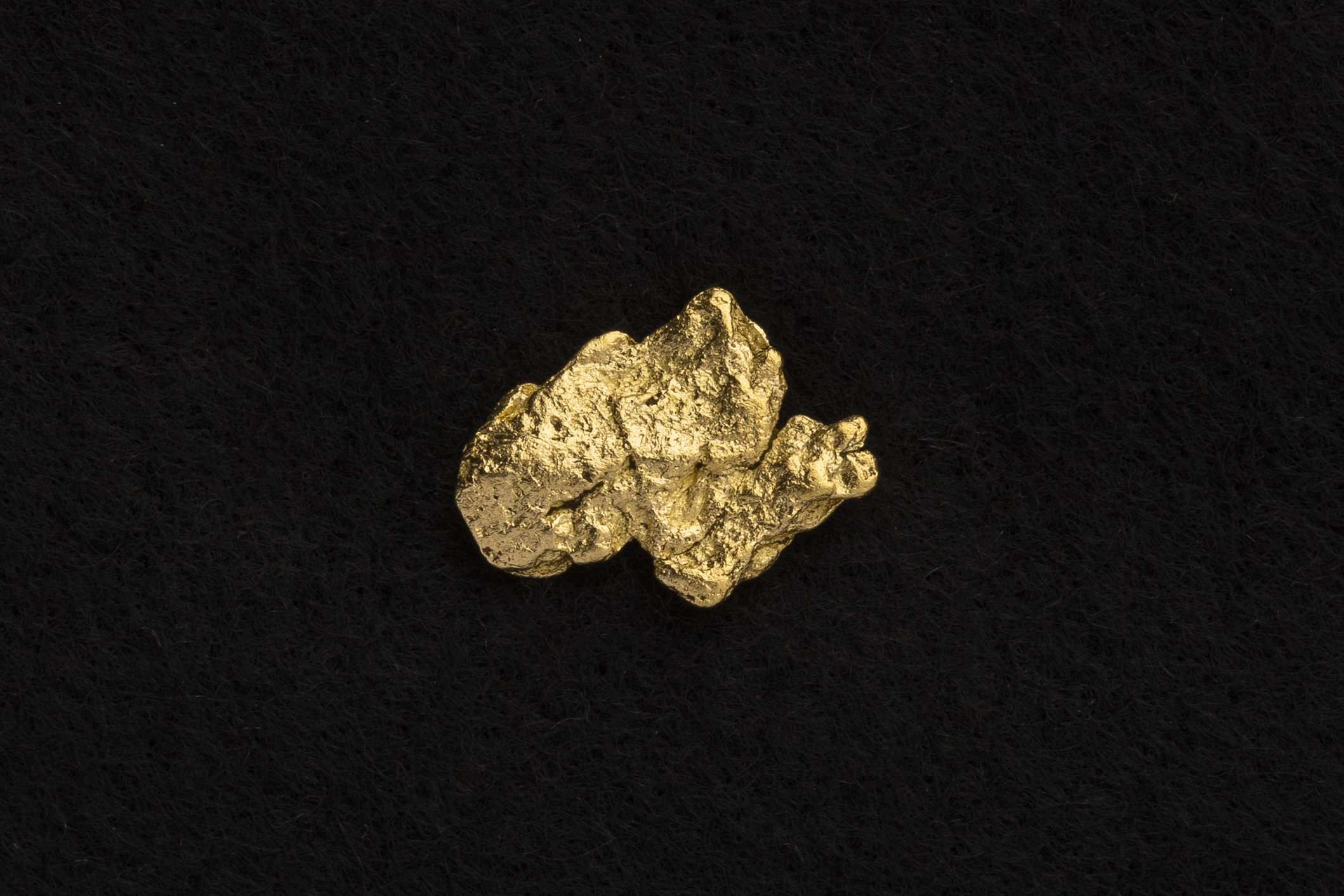 NZNugget-15.jpg