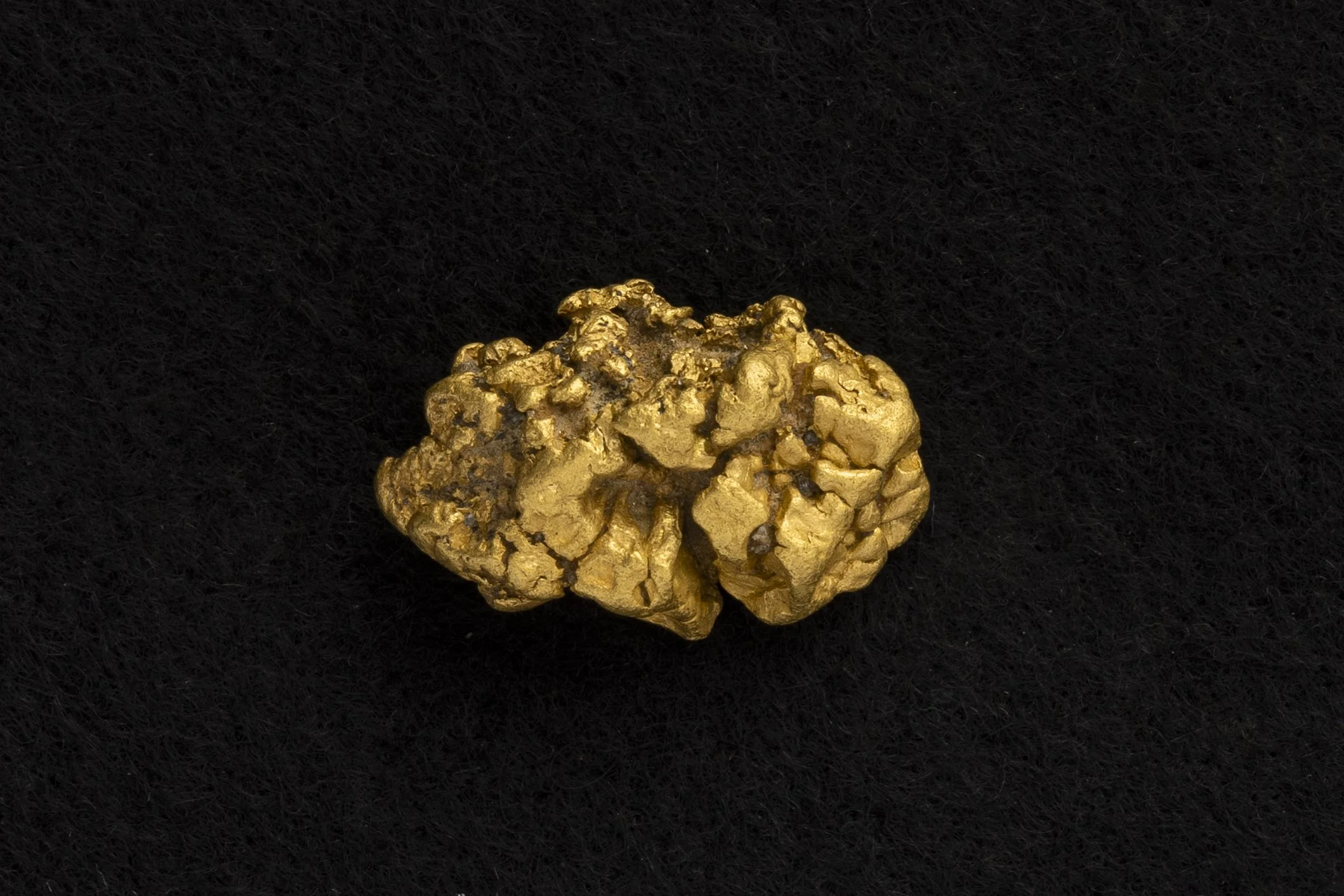 NZNugget-154.jpg