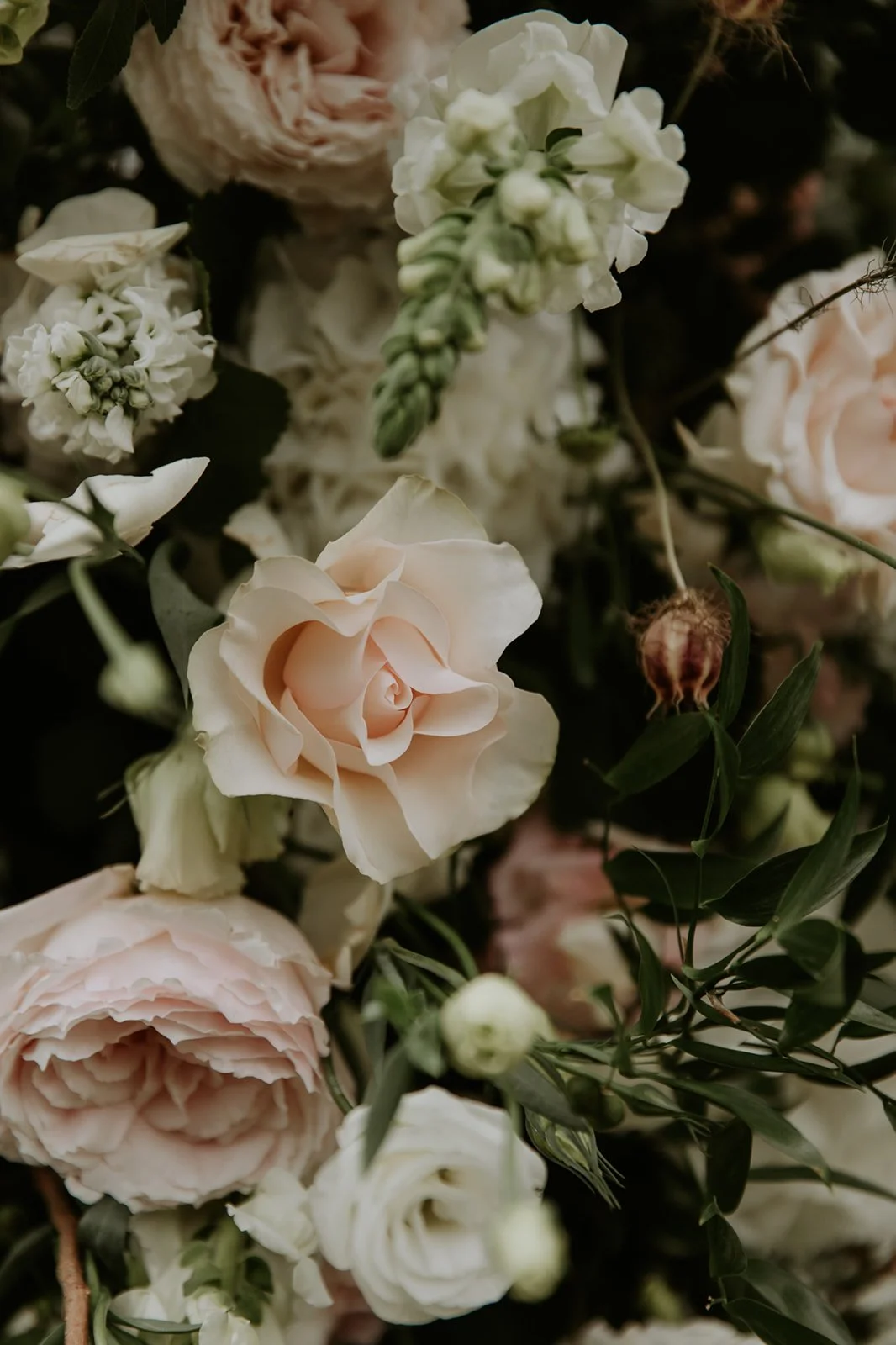 Tash and Dylan's Wedding Full Gallery-177_websize.jpg