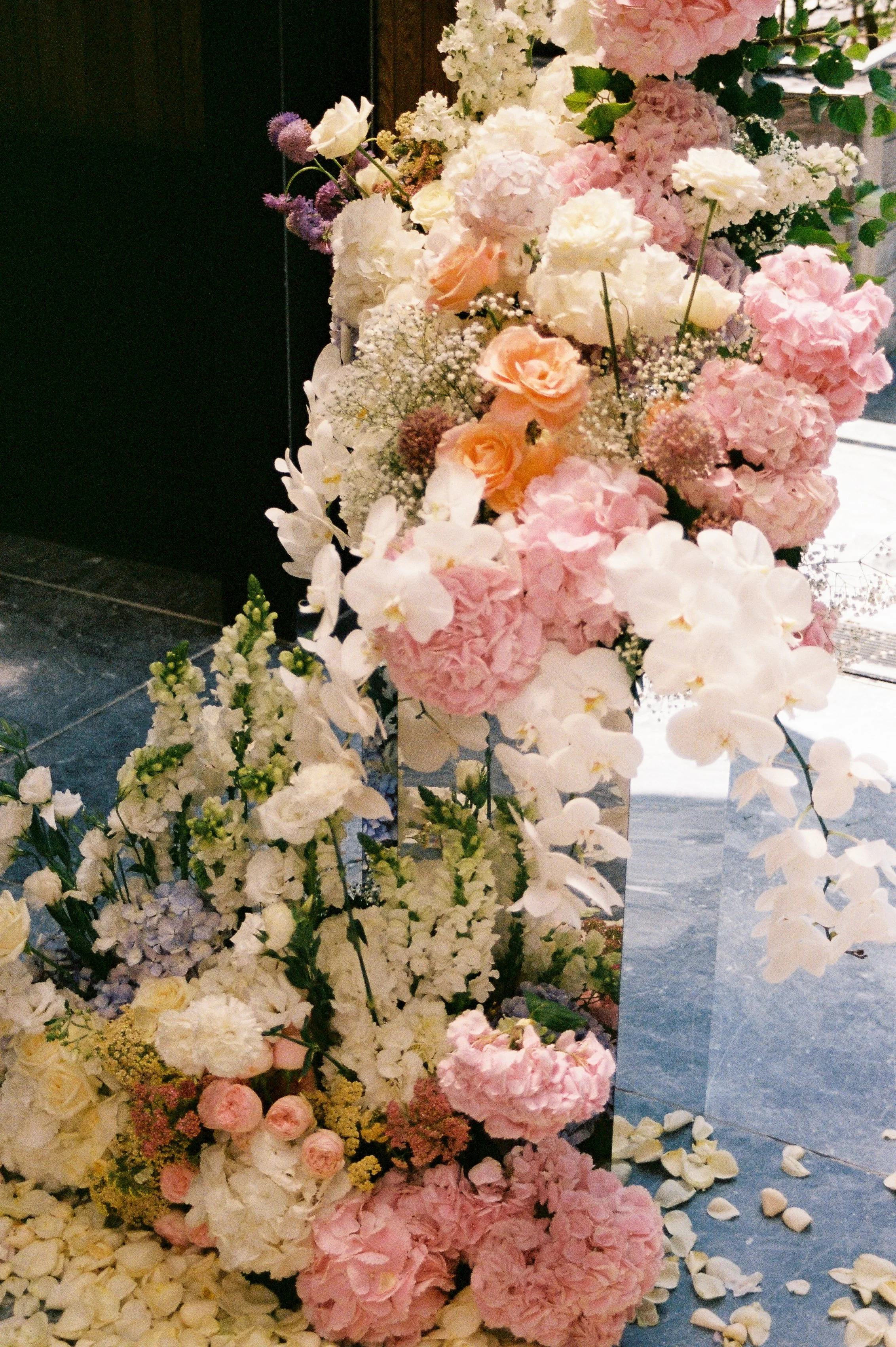 IMG_5112.JPG