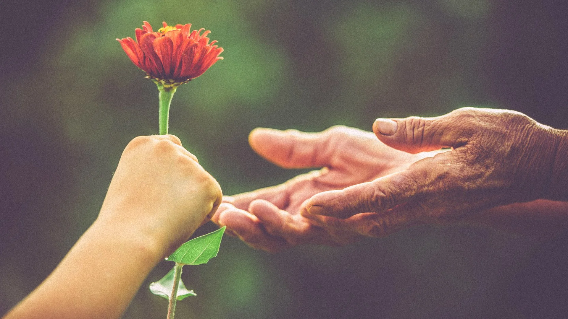 Sharing Kindness