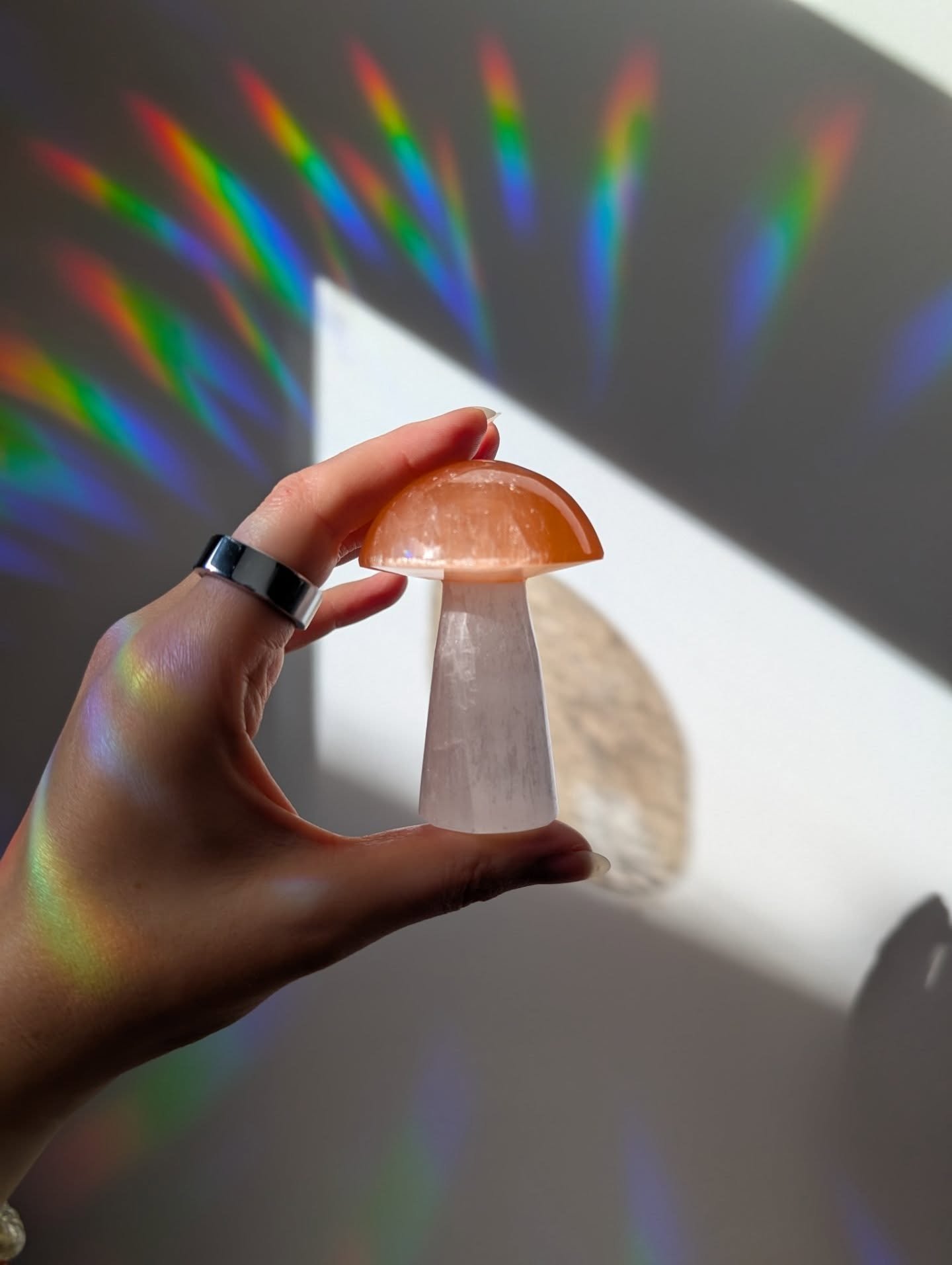 ✨New treasures just landed at GVRS!✨
This drop is full of sparkle, fire, and major vibes!
Here’s what’s new in the shop:
🤍Howlite Towers (calm + clarity)
🍑Peach & White Selenite Mushrooms (gentle cleansing + whimsical vibes)
🧡Car