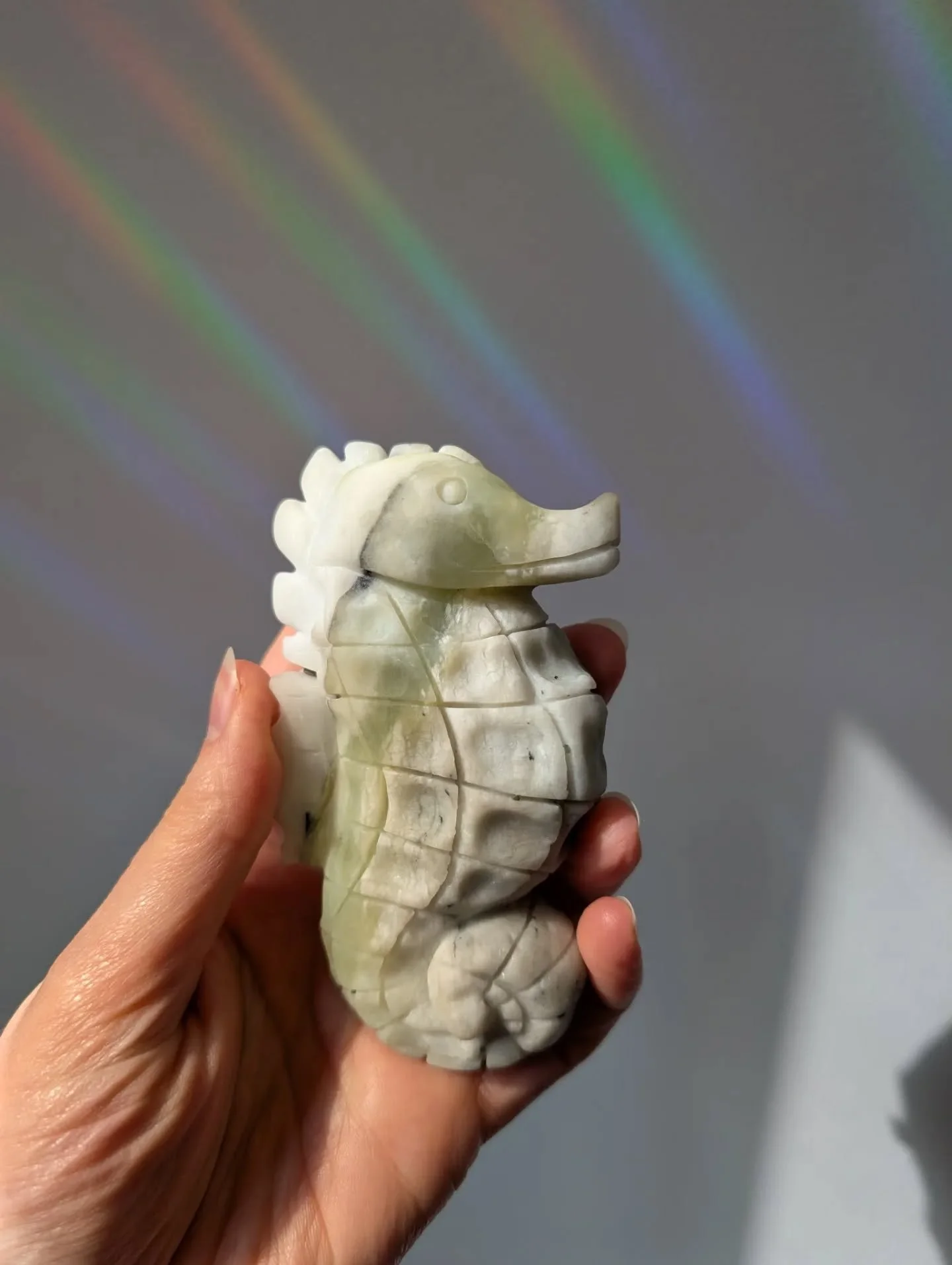 Under the sea🐠💦

Had 5 seconds of sun today so we were able to snap a few quick pics of some new creatures available in the shop!

These stunning sea creatures are so much fun! Which one is your fav?!

Celebrate the last day of Pisces szn with a ne