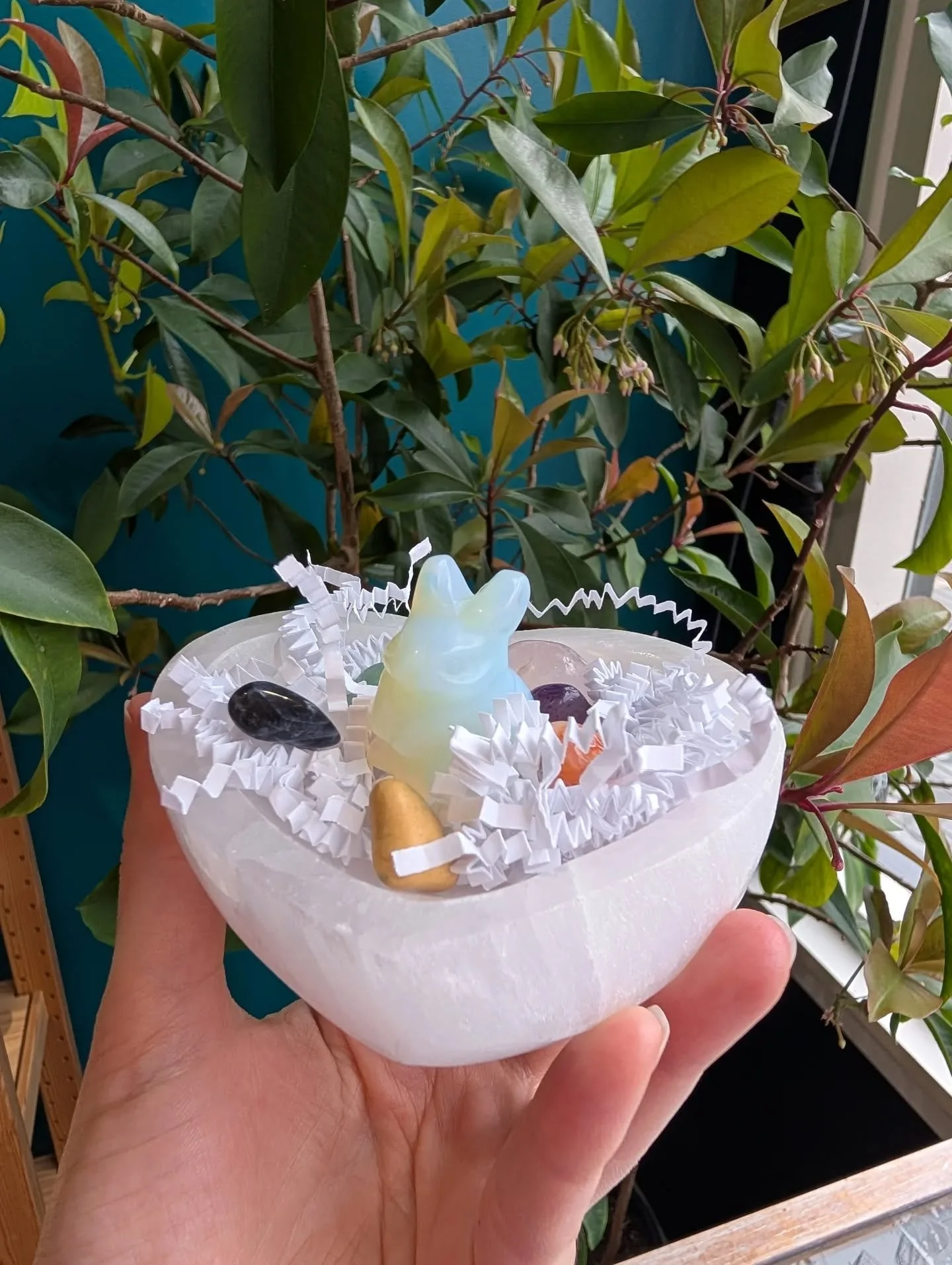 Cutie pie little bunny nests for Easter weekend!🌈🪺

We've sent a few rabbits out the door today to go inside of some Easter eggs hehe!🐇🍫🥚

Only a handful left if you want to grab yours!🐣✨