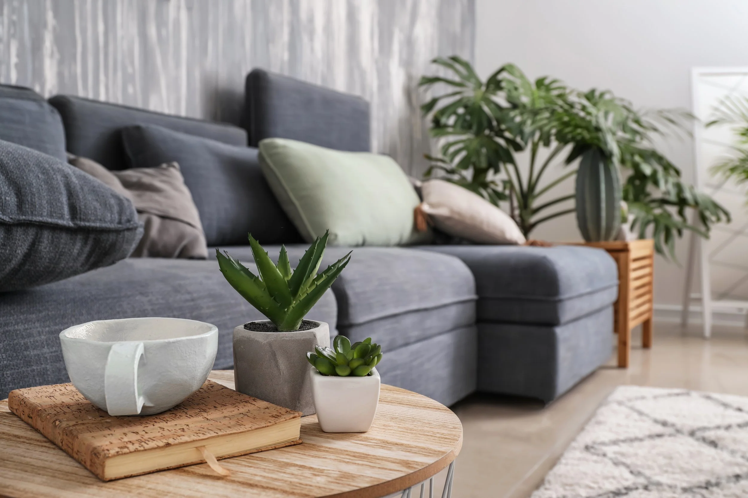 blue-couch-and-plants-in-neutral-room-2026-04-15-05-09-00-utc.jpg