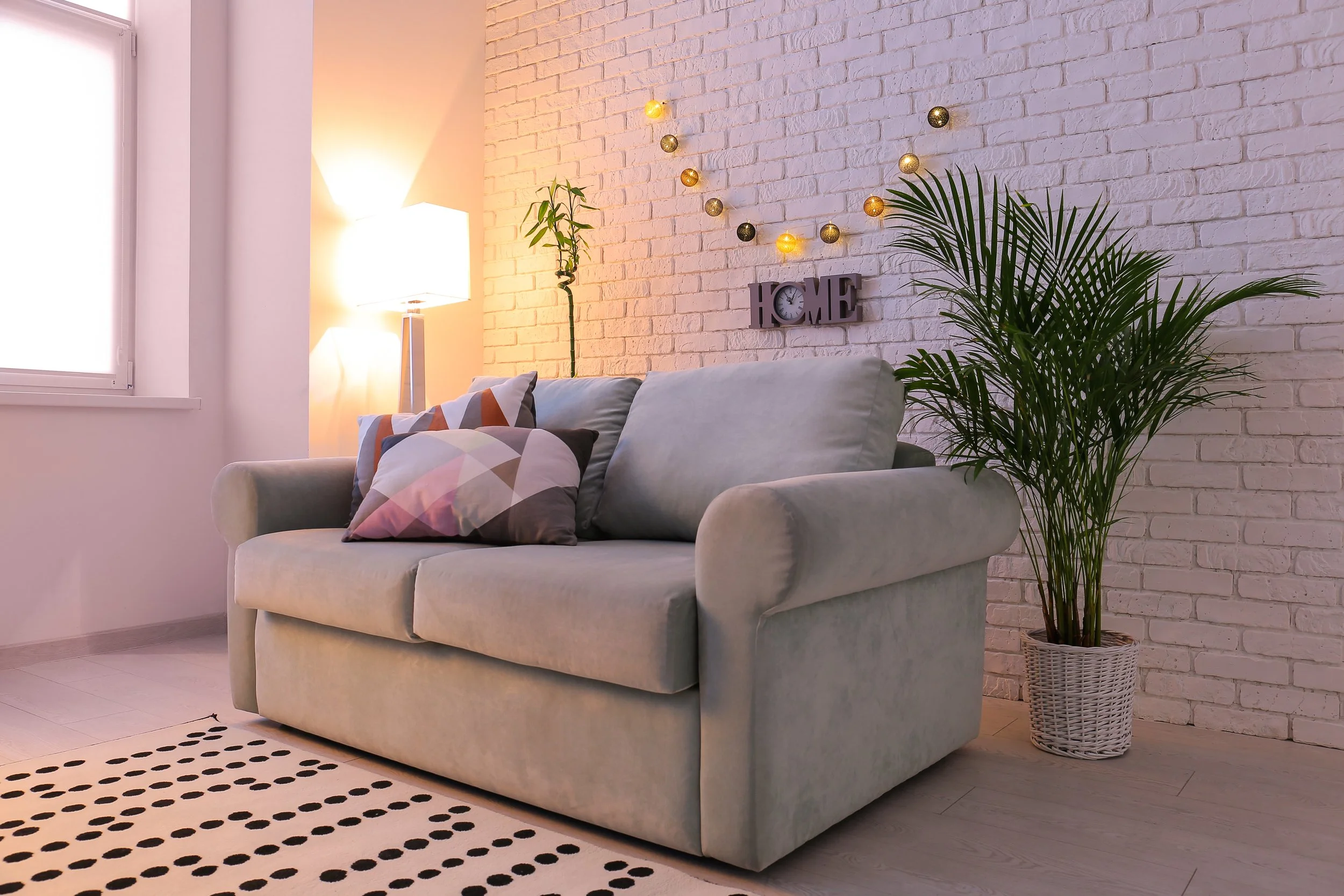 modern-couch-with-pillows-and-plant-in-room-2026-04-15-04-58-49-utc.jpg