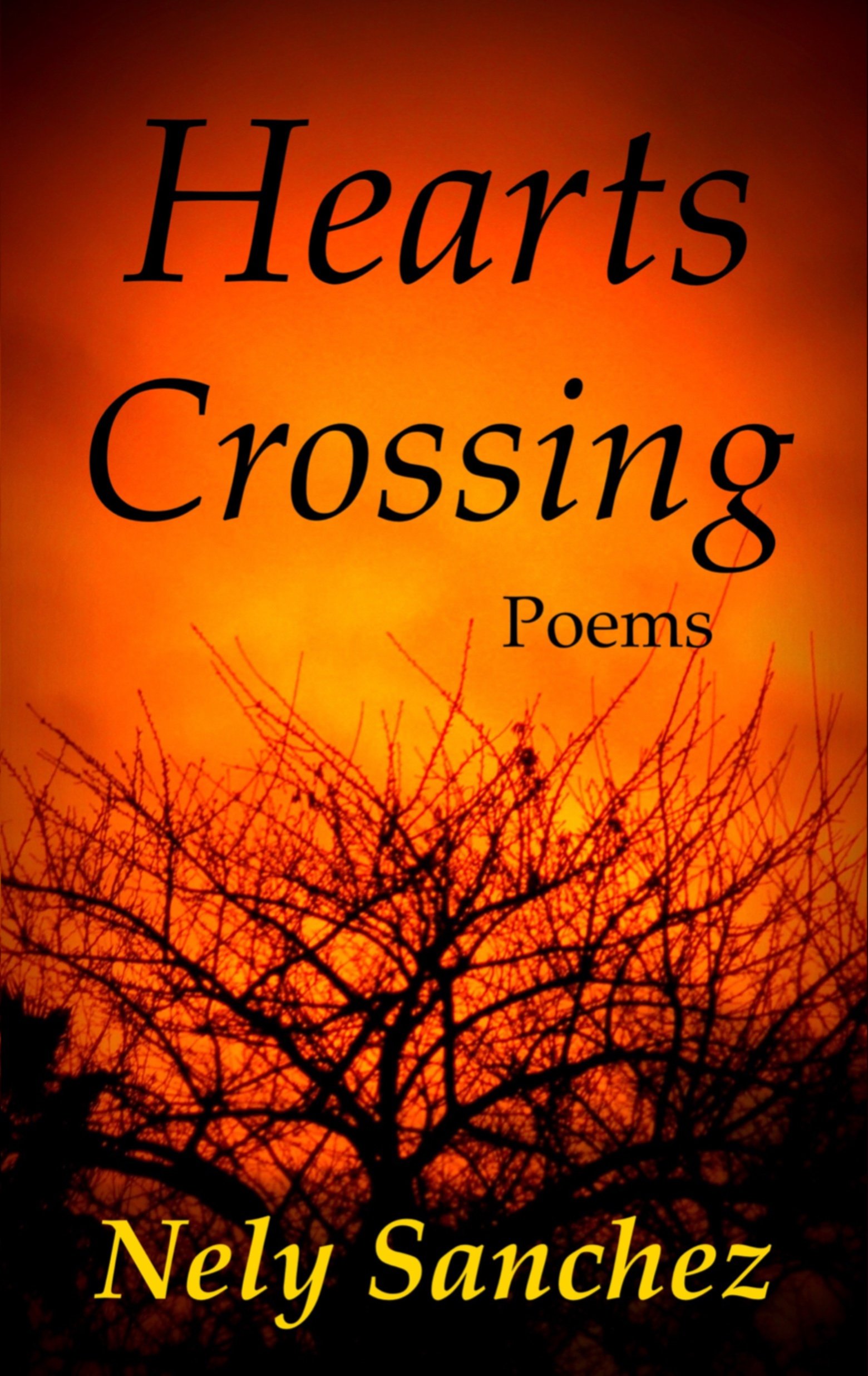 Picture of black tree branches with a deep orange sunset in the background.