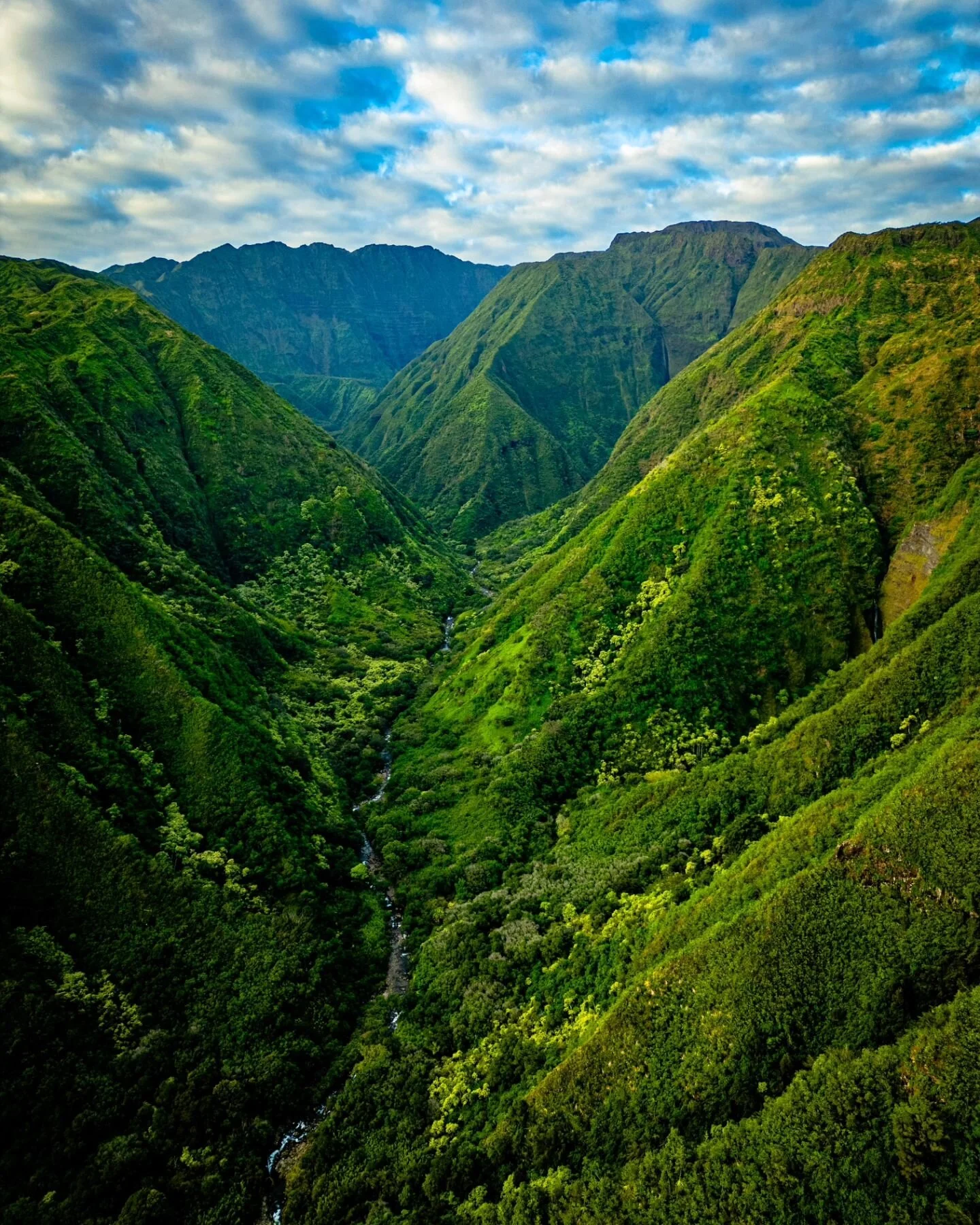Waihee Ridge Trail was hands down our favorite part of Maui. We couldn't get over the lush green valley you hike around to the top. The opposite view shows off the stunning coastline😍

This 4 mile out and back hike is a perfect morning hike. The gat