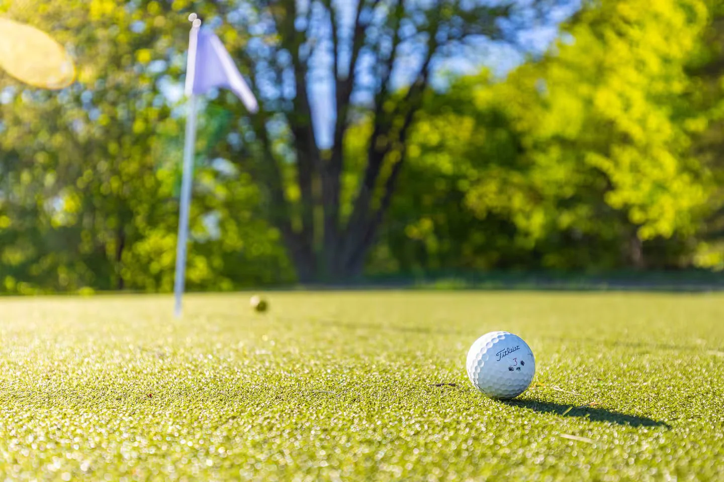 A Private Par 3 Golf Hole in the backyard! Work on your putting game before you go play a round at one of the local award winning courses. Recreation balls and putters included for the kids. What a great way to make memories with family and friends!
