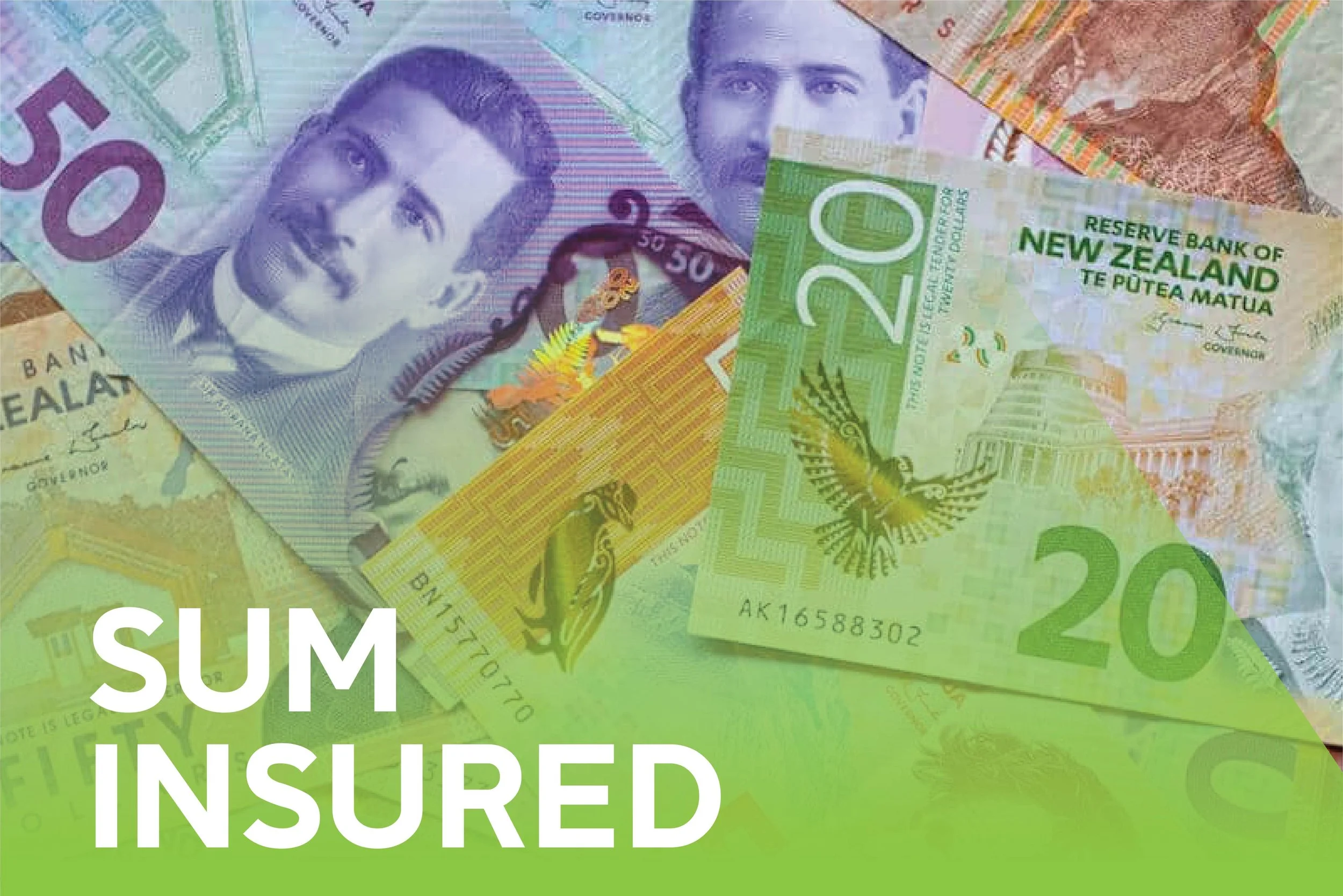 Sum Insured