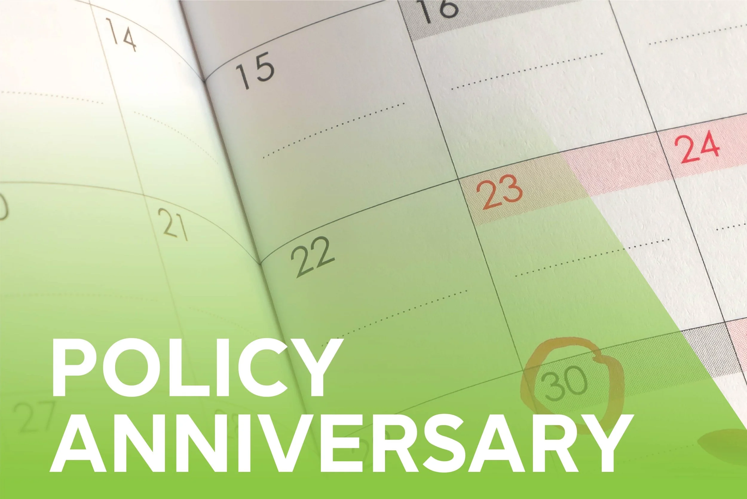 Policy Anniversary