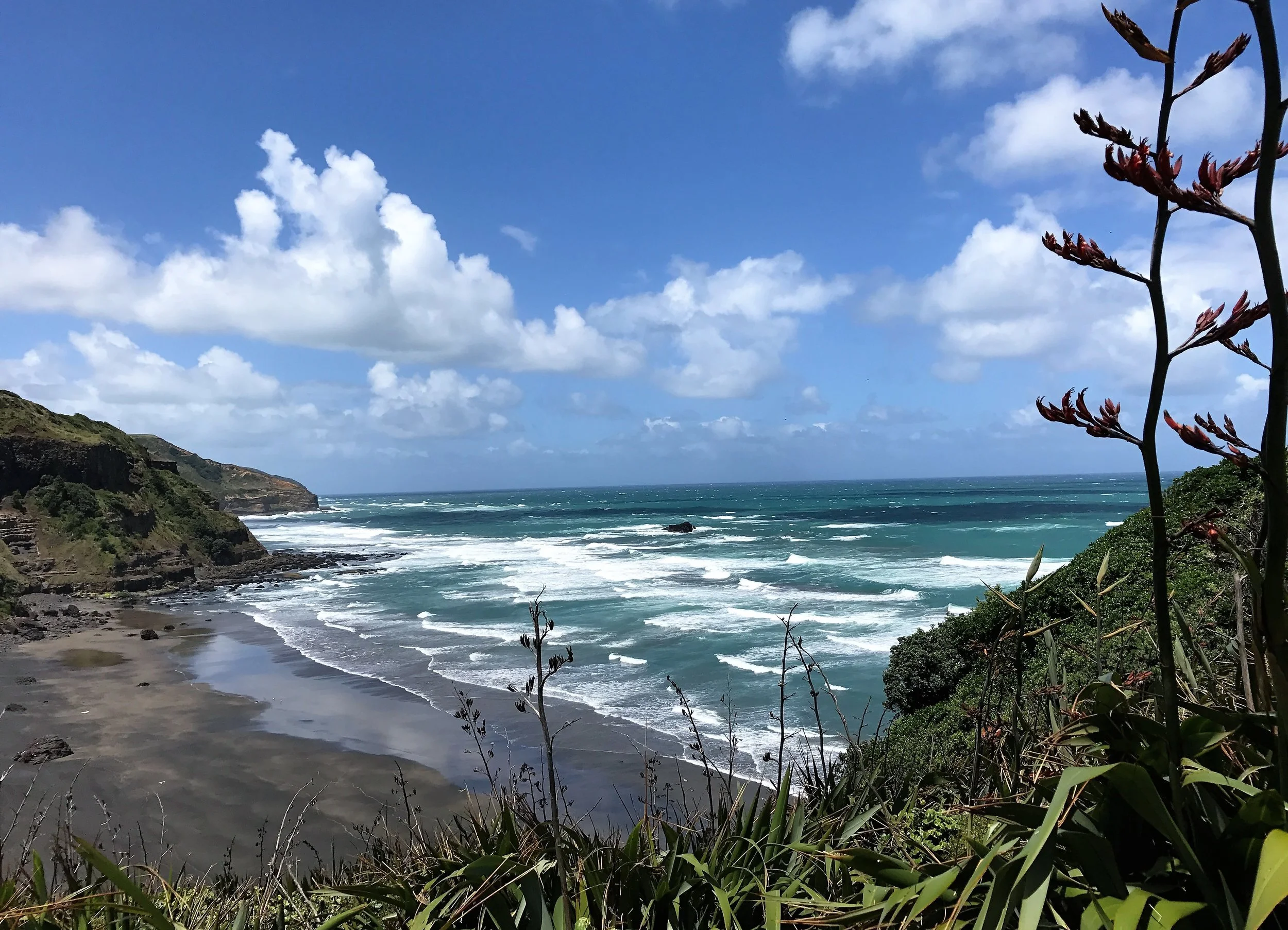 Muriwai.jpeg