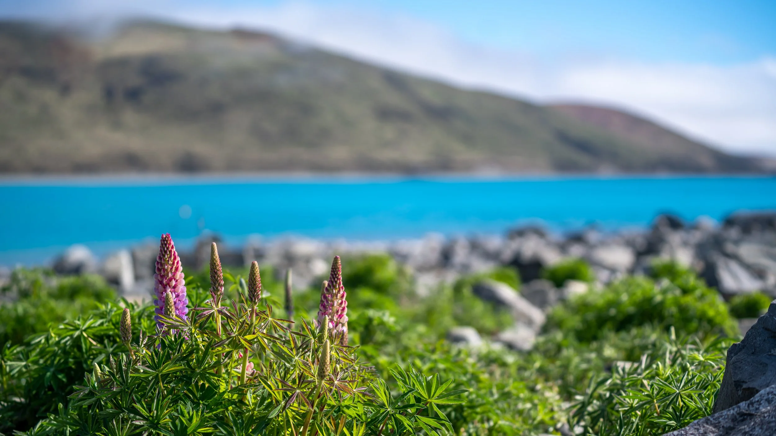 Summer Planning: Relax, Recharge, and Refocus for 2026