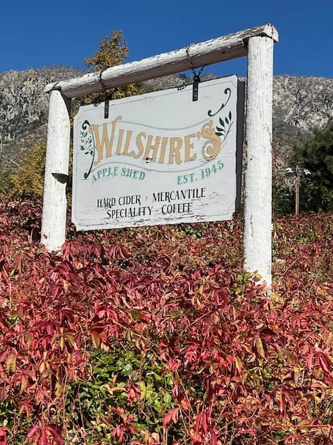 Wilshires3.jpg