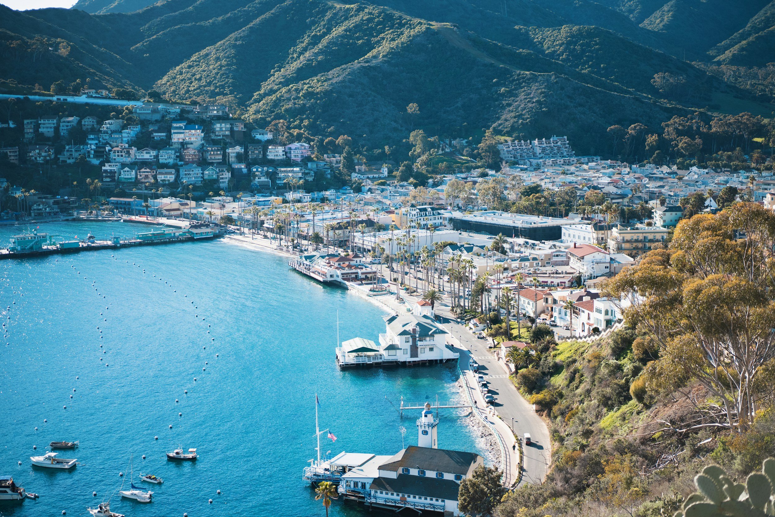 Dana Point Bucket List | Catalina Island | Dana Point Days