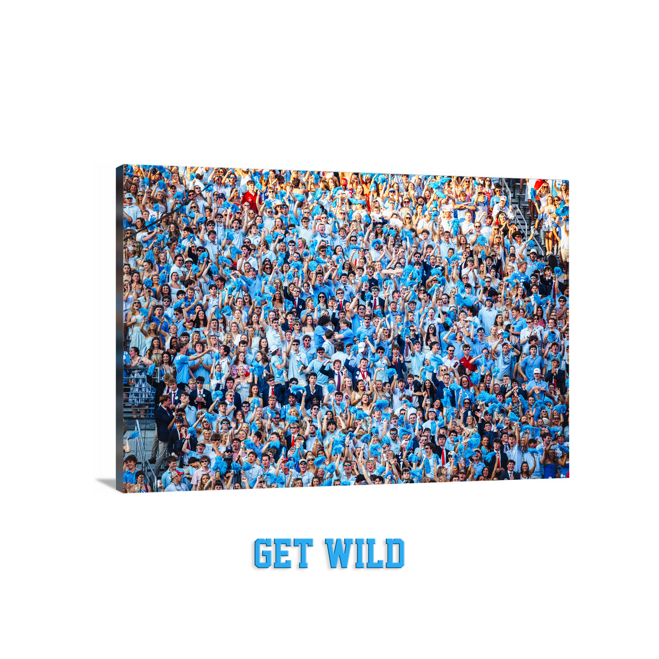 Get Wild