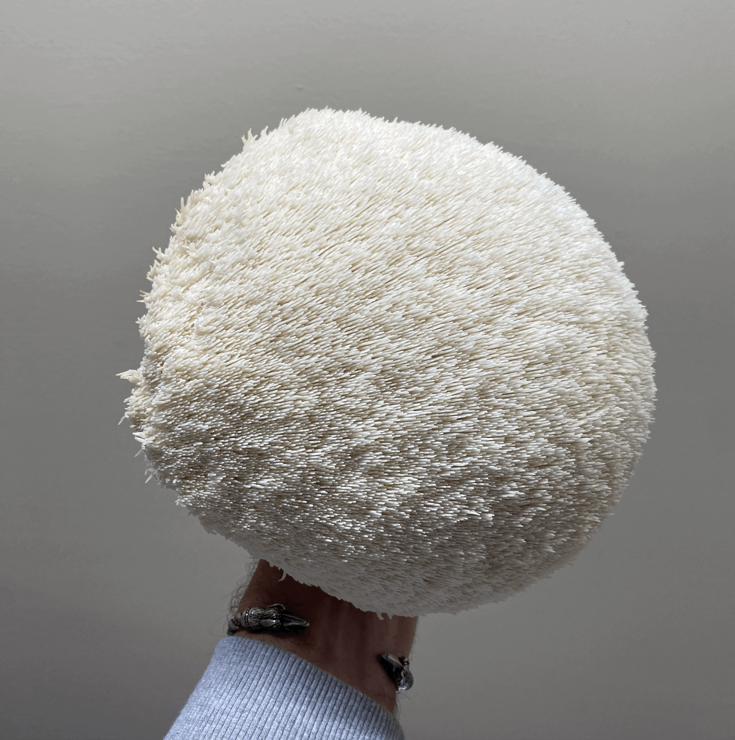 It’s all about the quality….