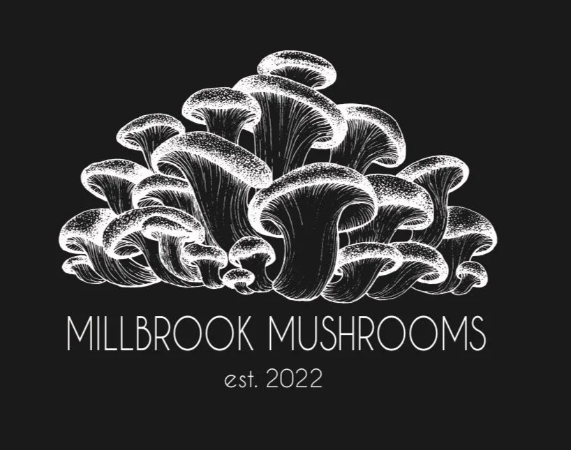 2023 Reflection - A Year of Gratitude