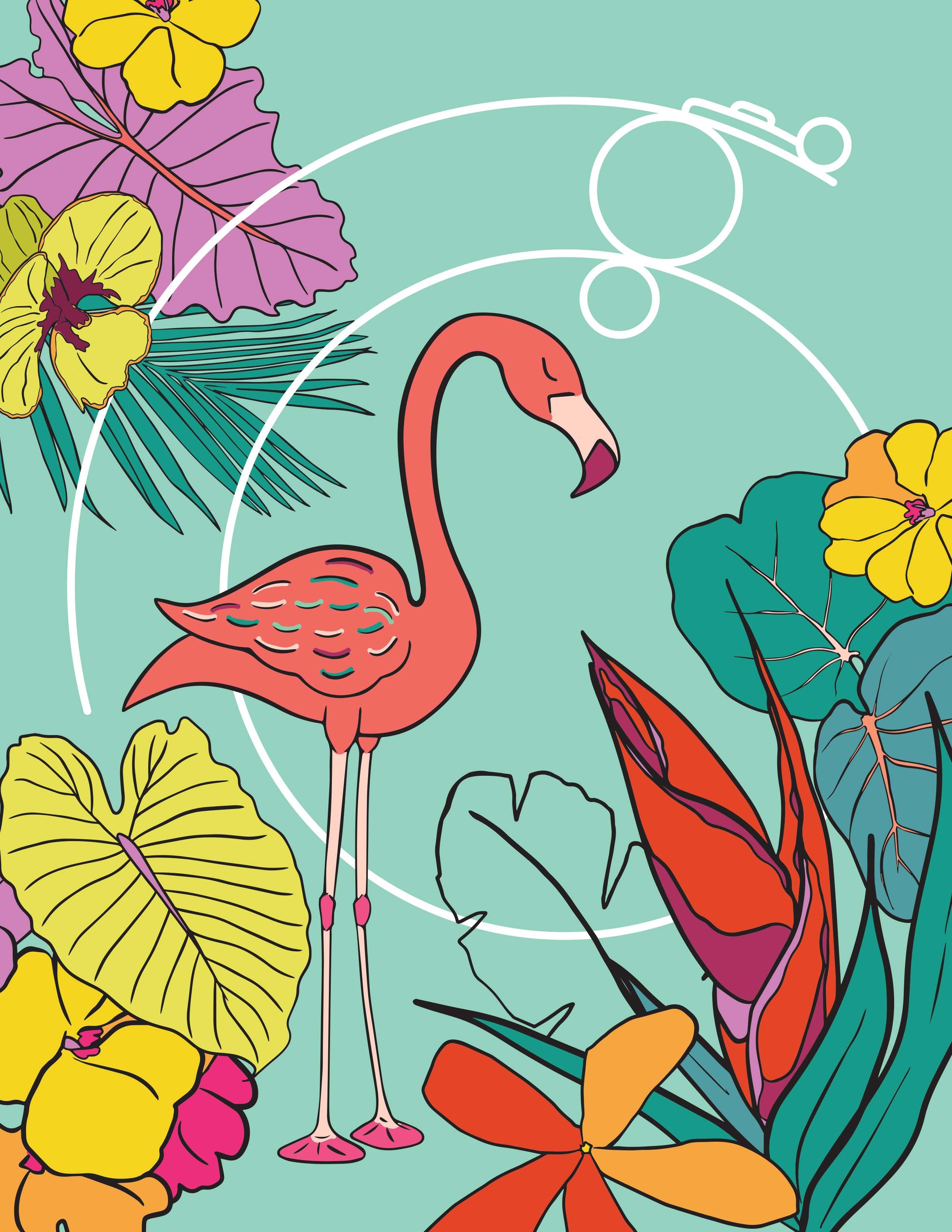 DecoFlamingo_20240517.jpg