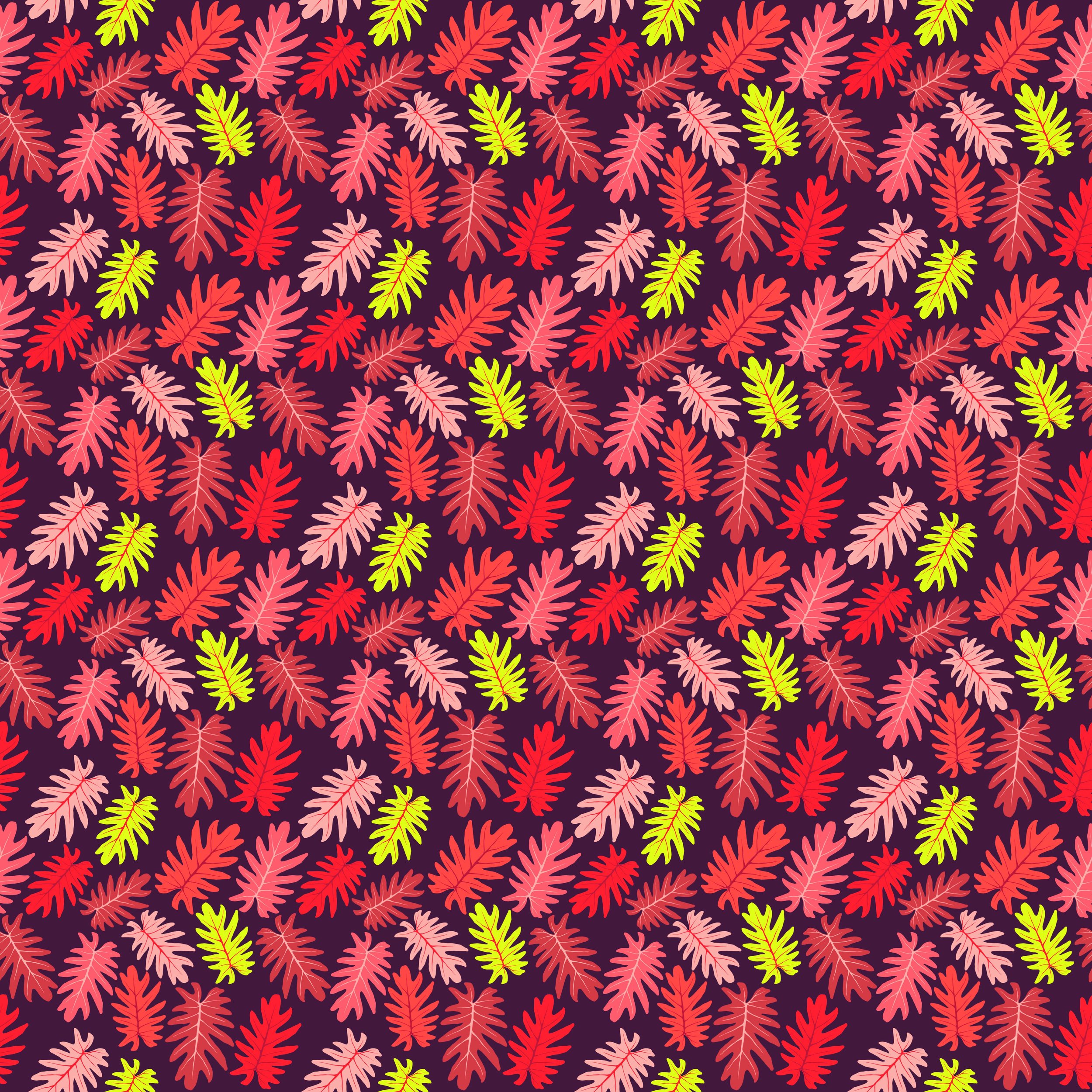 Just_Fronds-Shadow_20250423.jpg