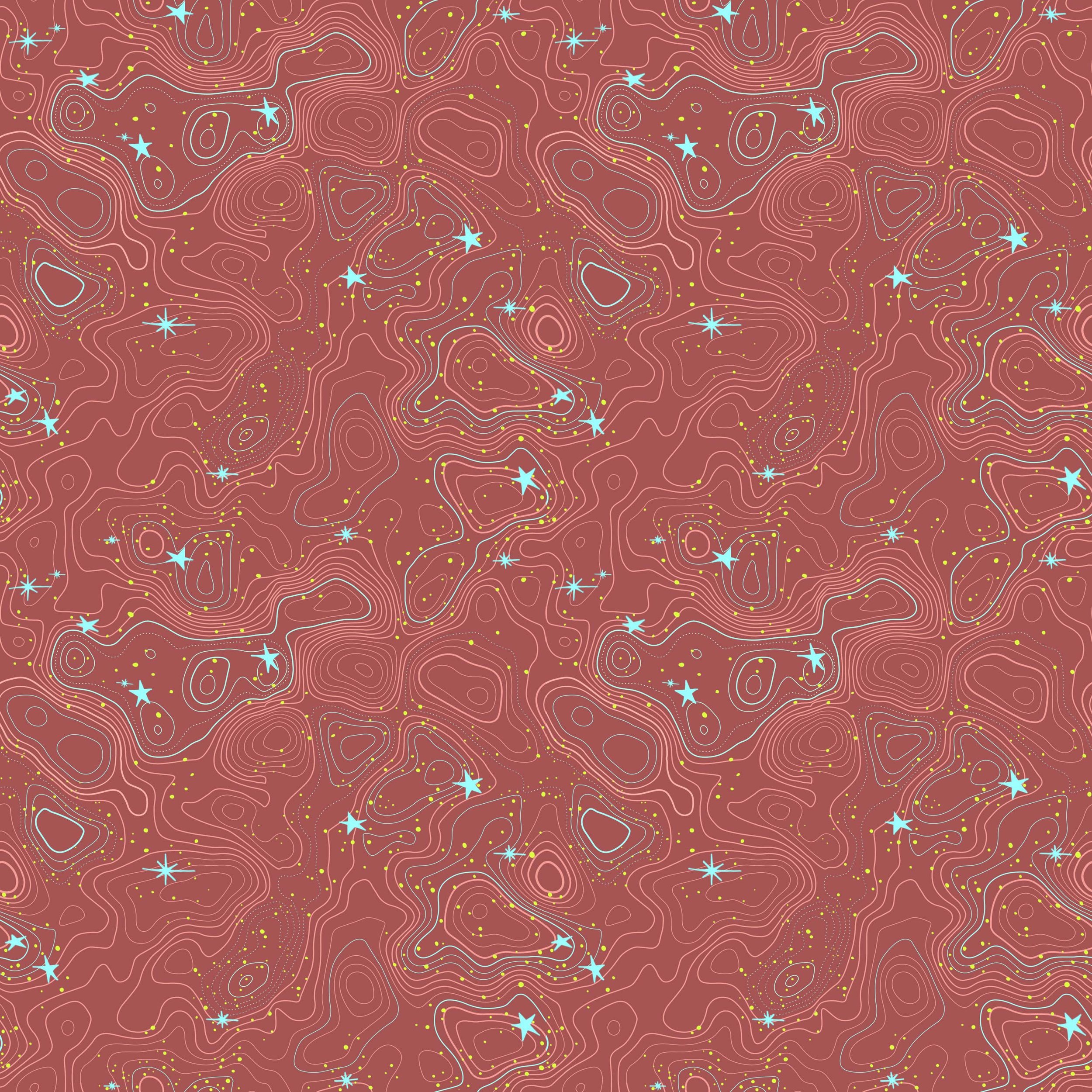 Milky_Way_Topo_Pattern_Desert_Bloom_20250329.jpg