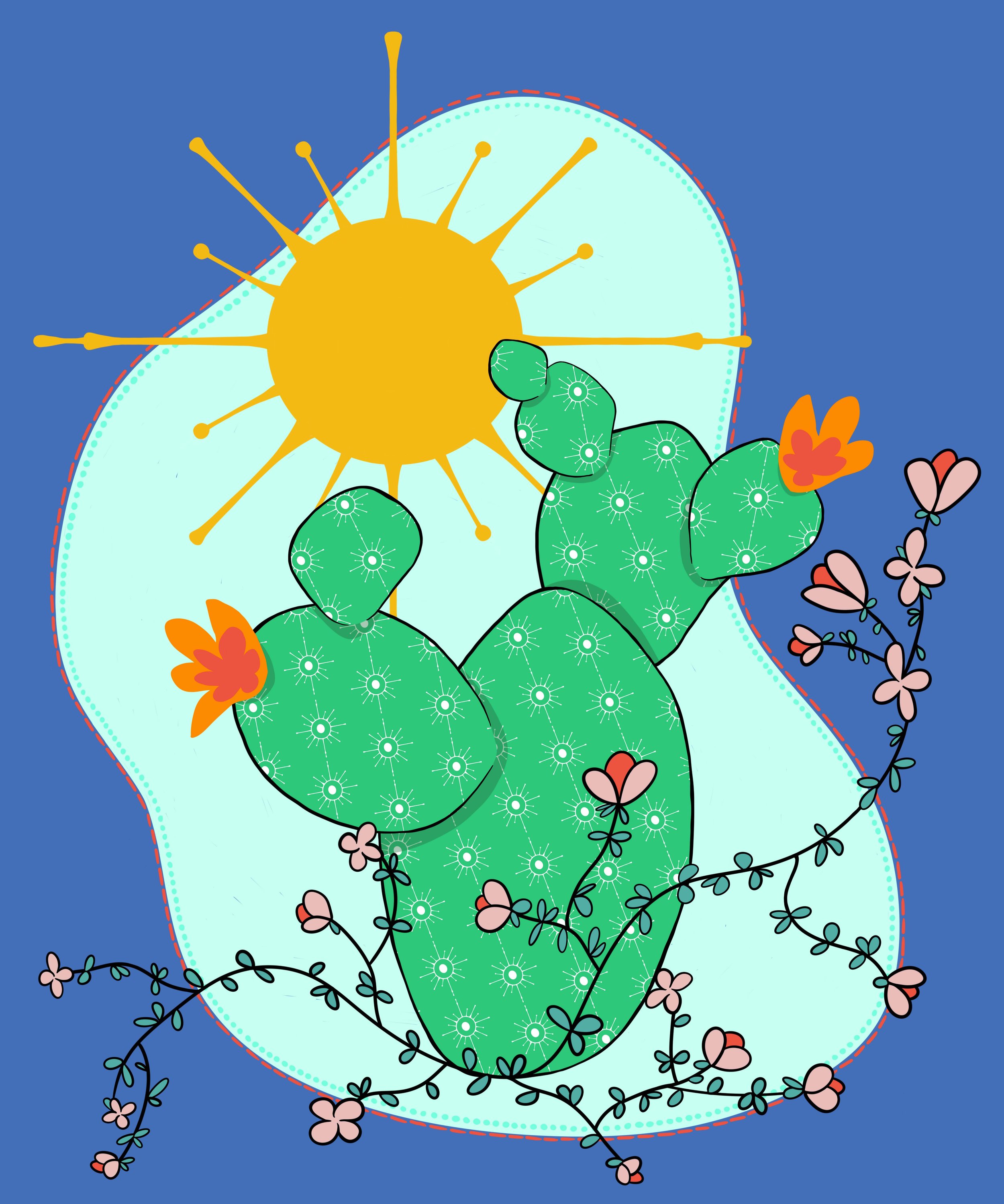 Cactus_02_20241031.jpg