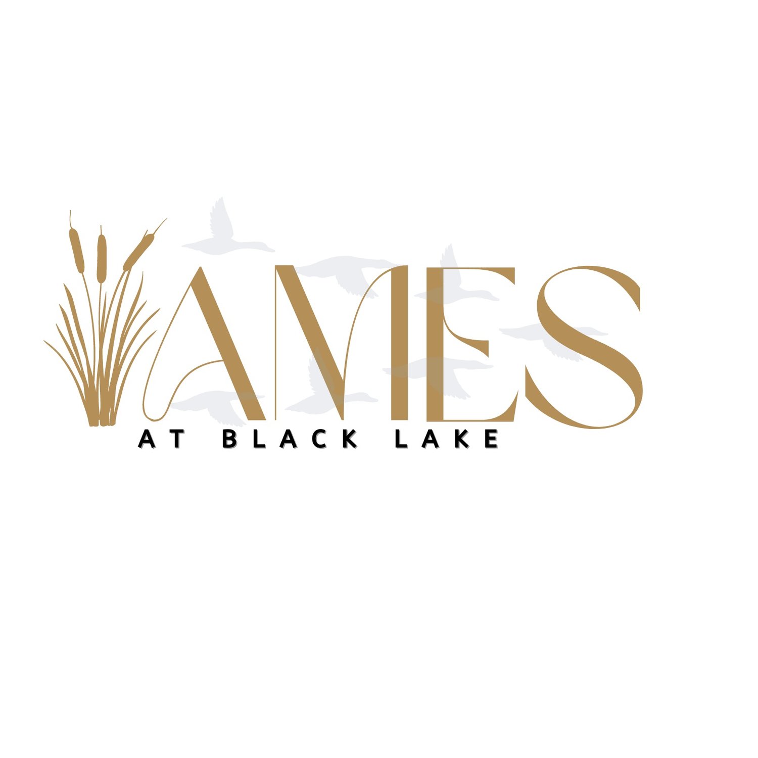Ames At Black Lake