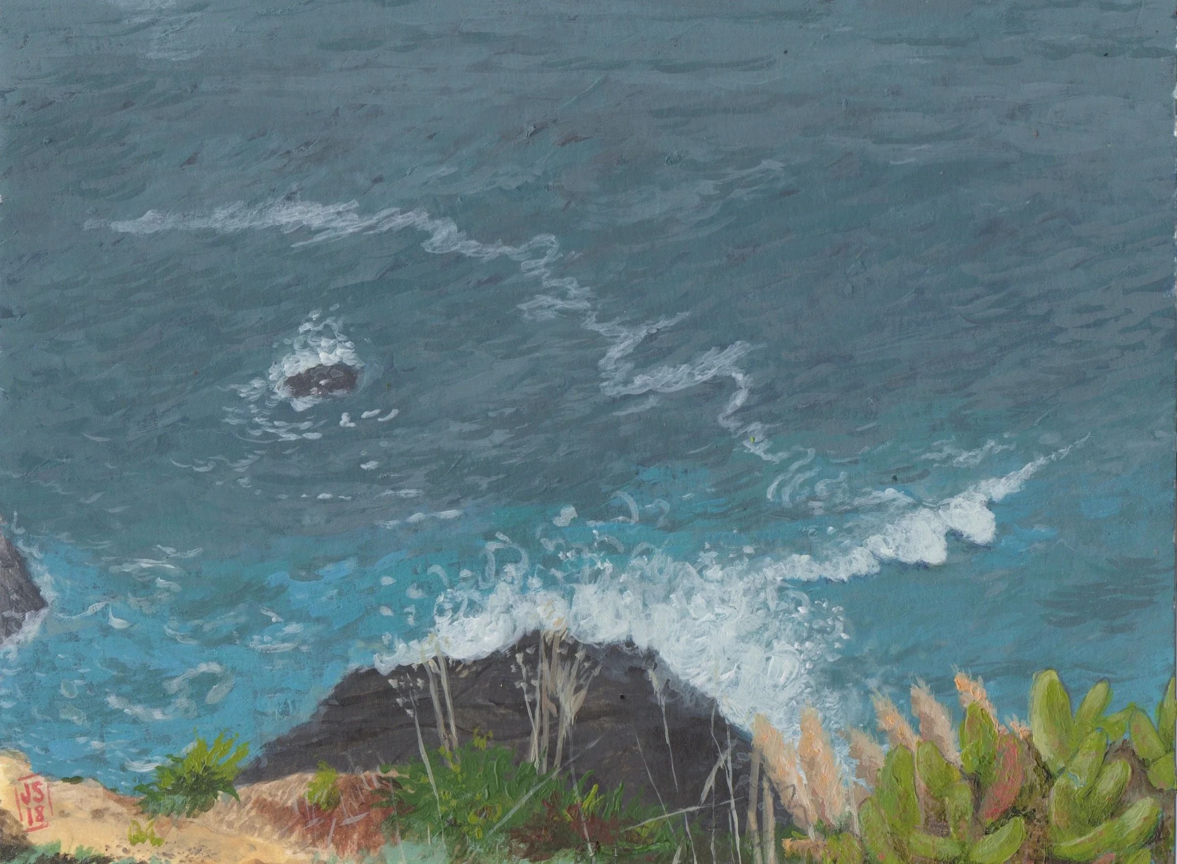 Mendocino Cliffs.jpeg