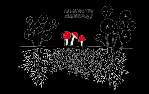 Mushrooms, Mycelia, and Mycorrhiza, digital comic, 2023