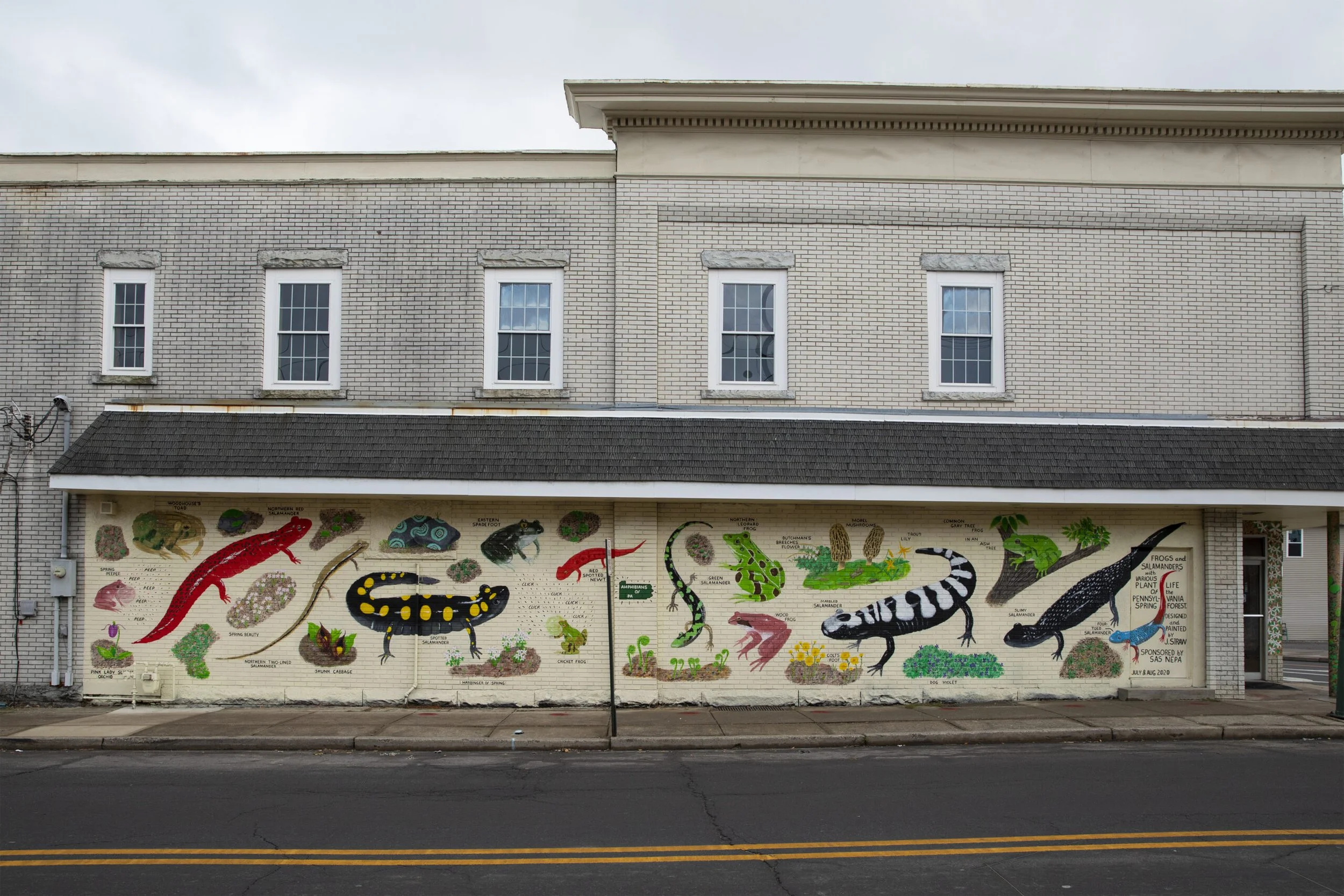 Amphibians of PA mural sponsored by Street Art Society of NEPA