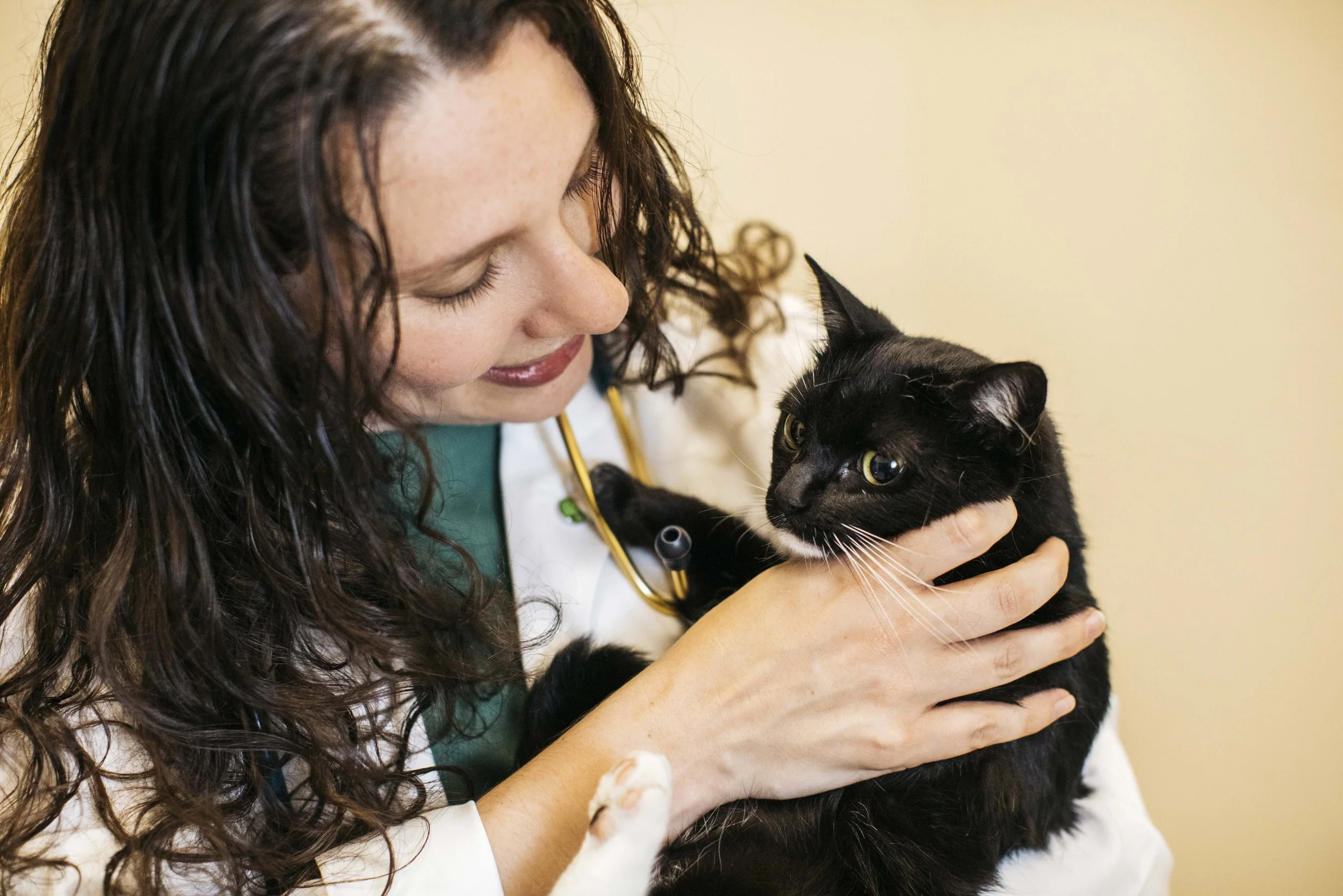 DermatologyClinicForAnimals_31.jpg