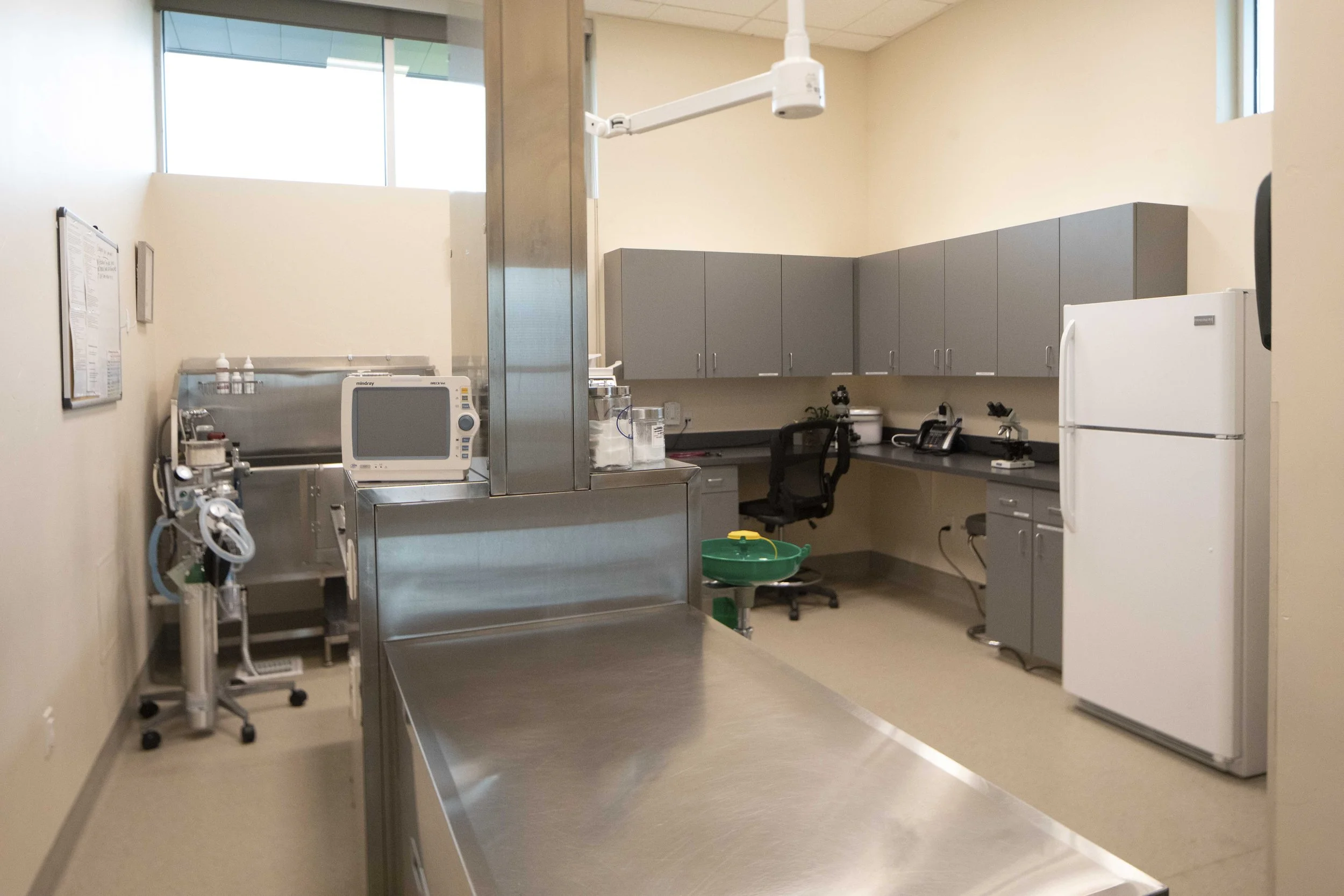 Treatment Area