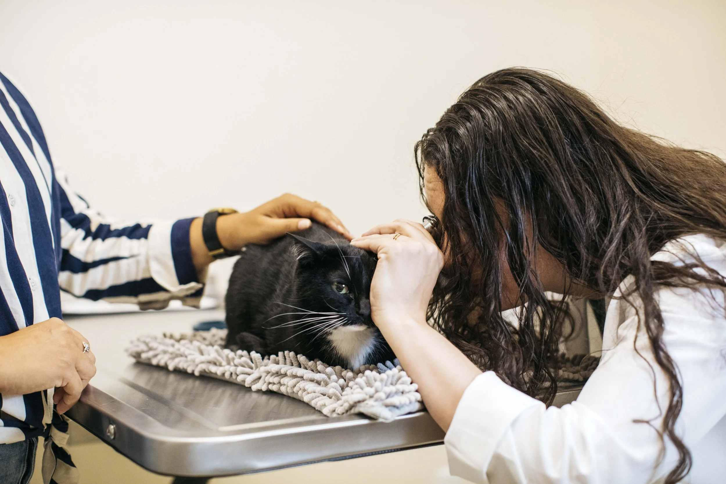 DermatologyClinicForAnimals_28.jpg