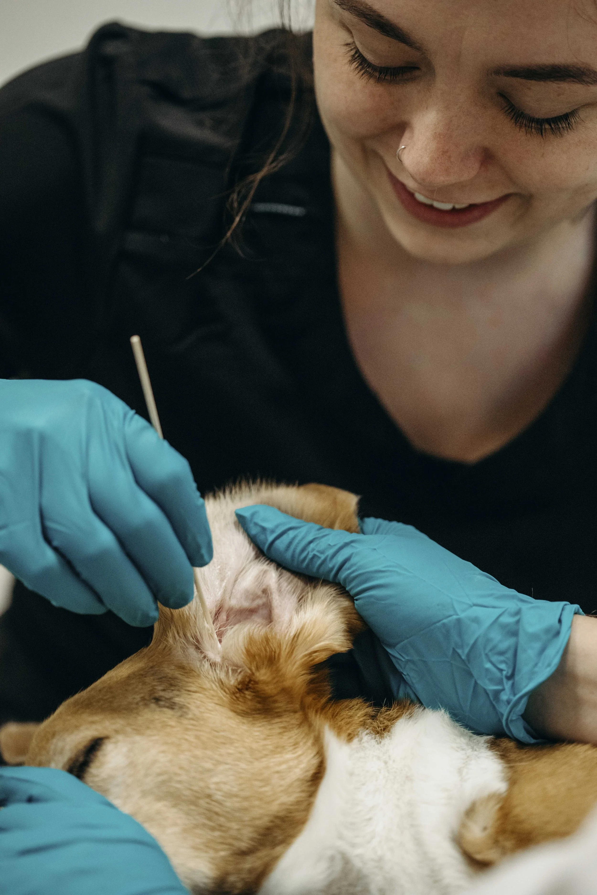DermatologyClinicForAnimals_70.jpg