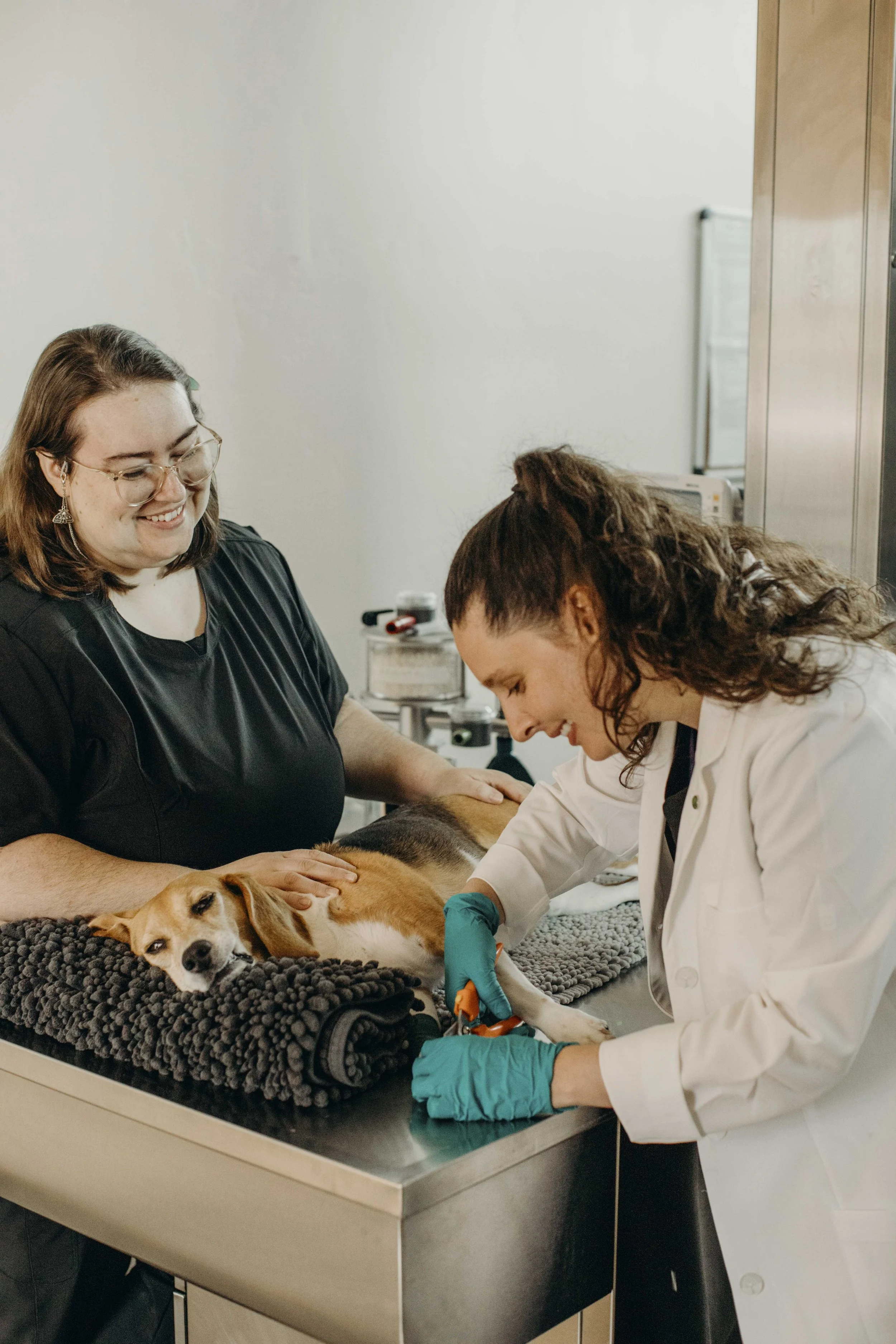 DermatologyClinicForAnimals_80.jpg