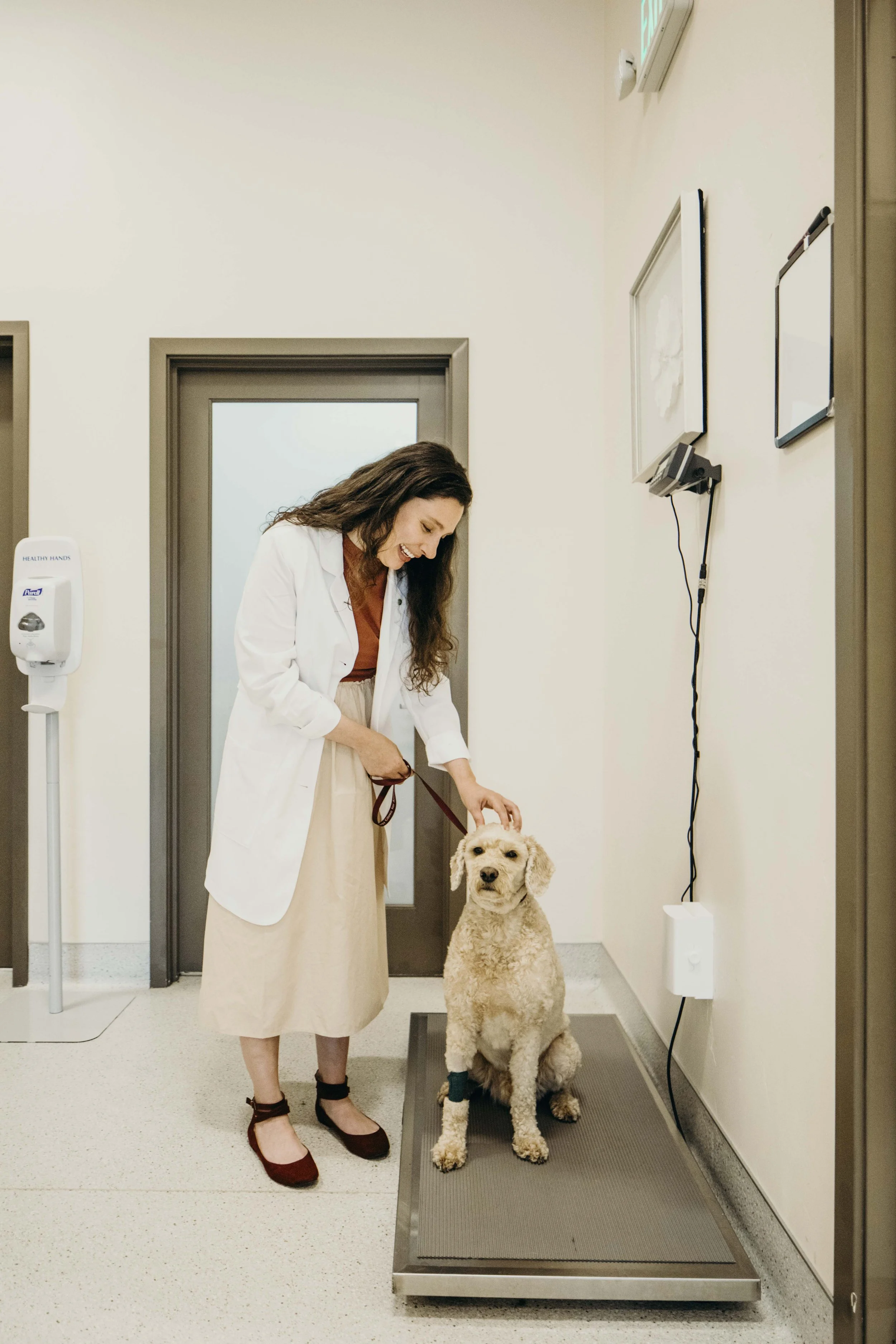 DermatologyClinicForAnimals_86.jpg